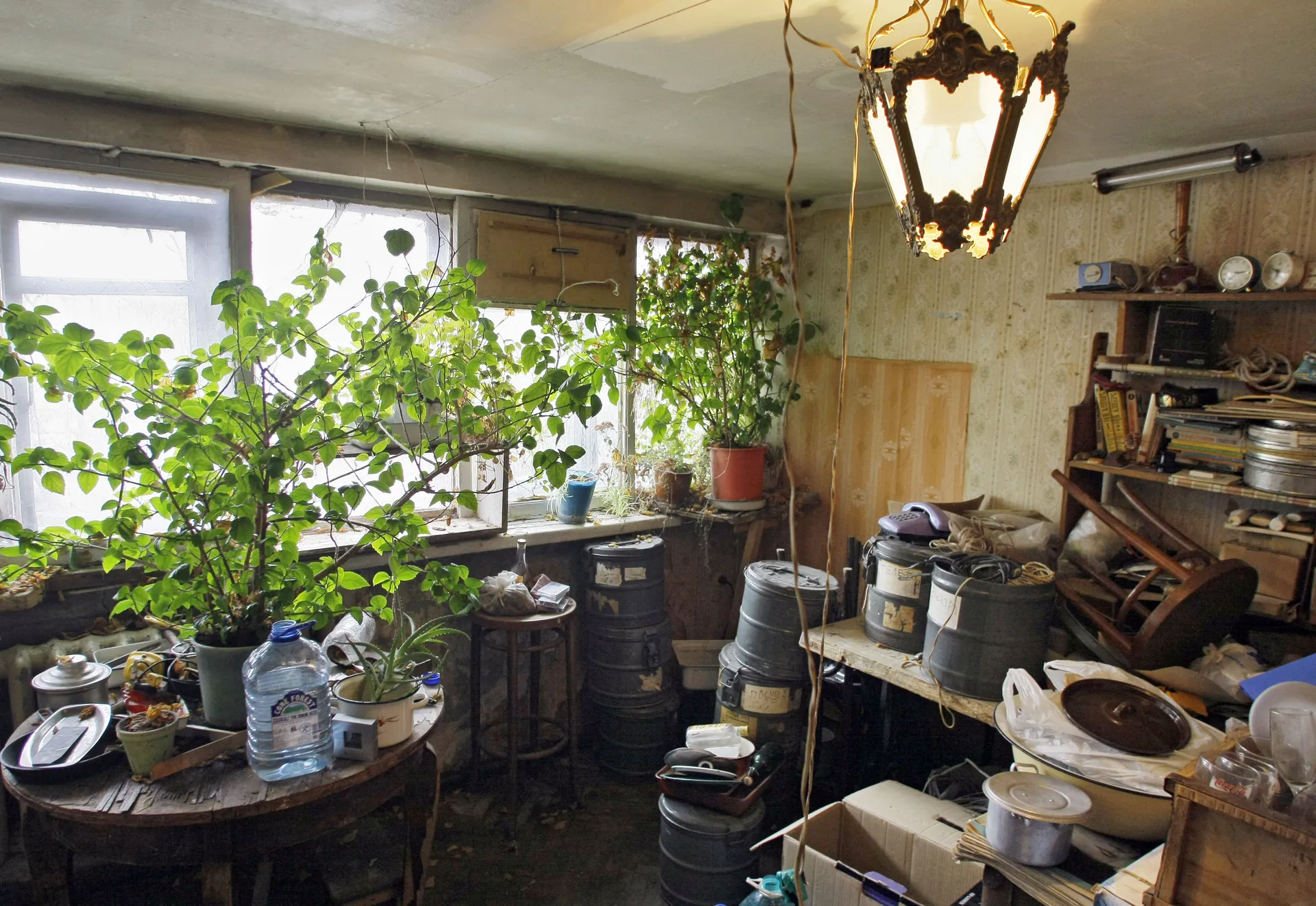 Изображение новости