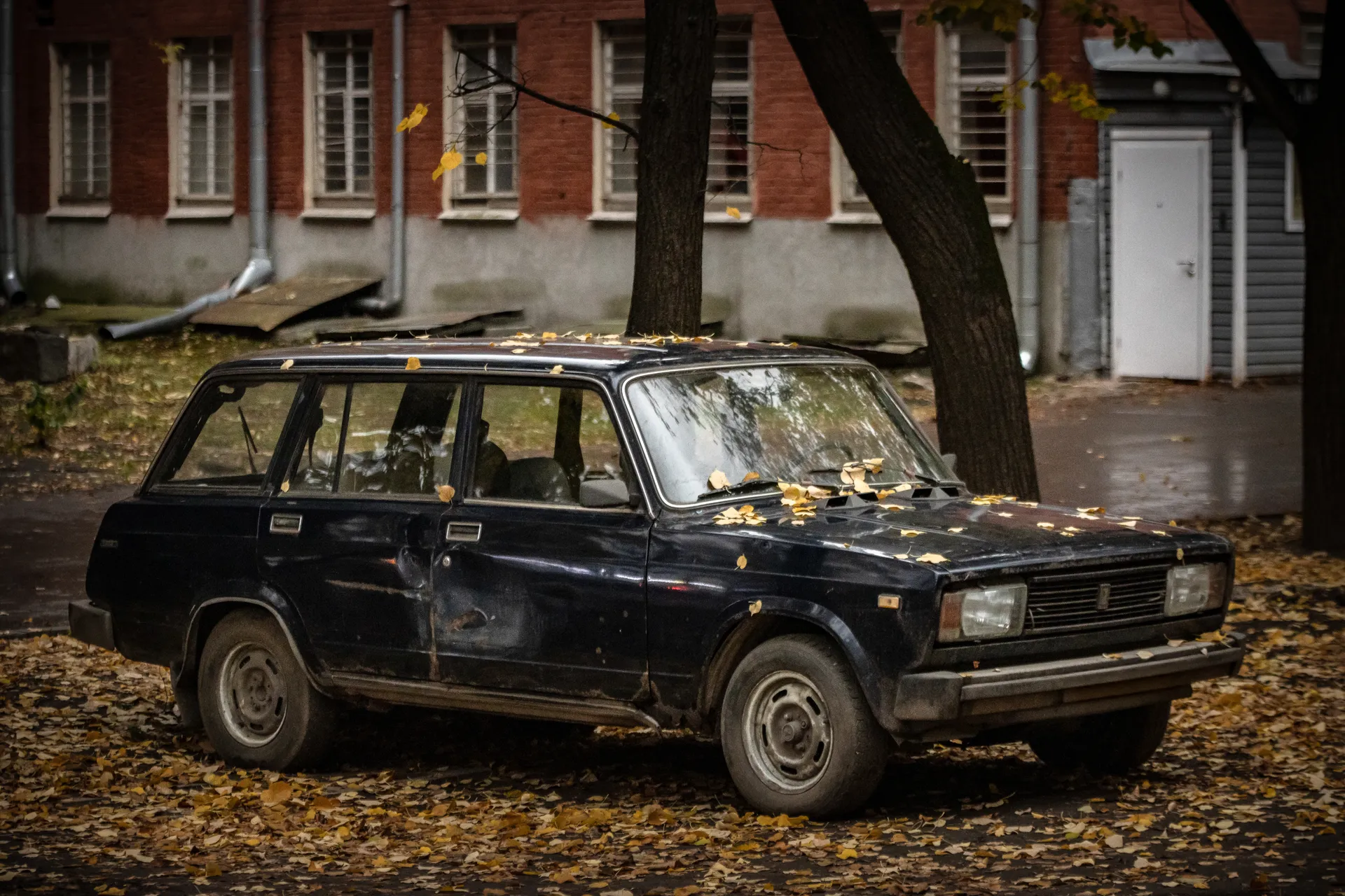 Изображение новости