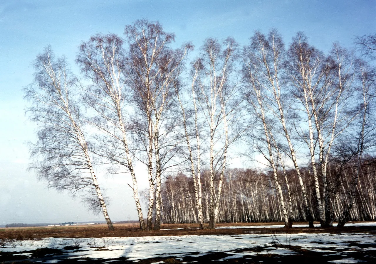 Изображение новости