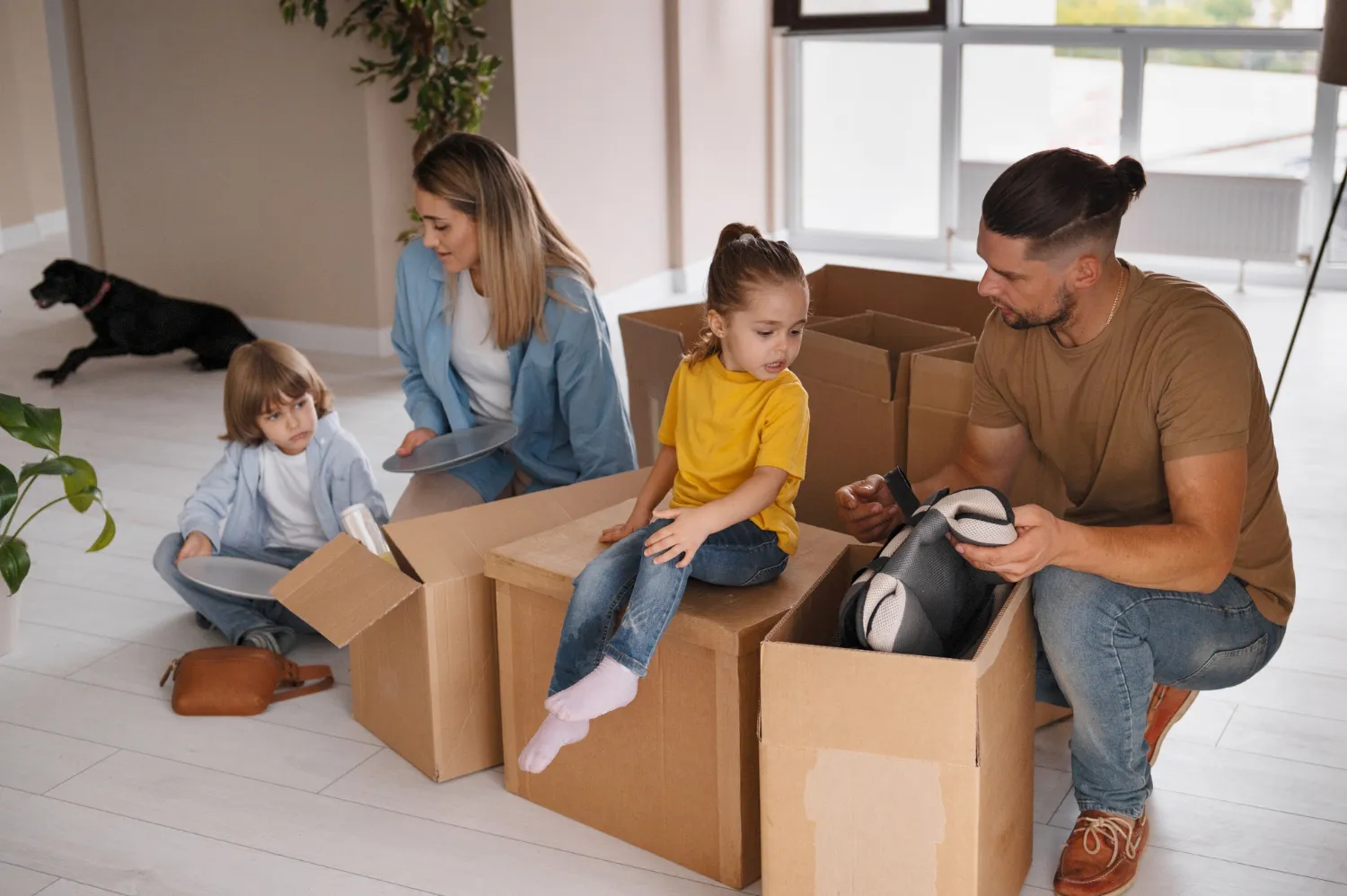 Изображение новости