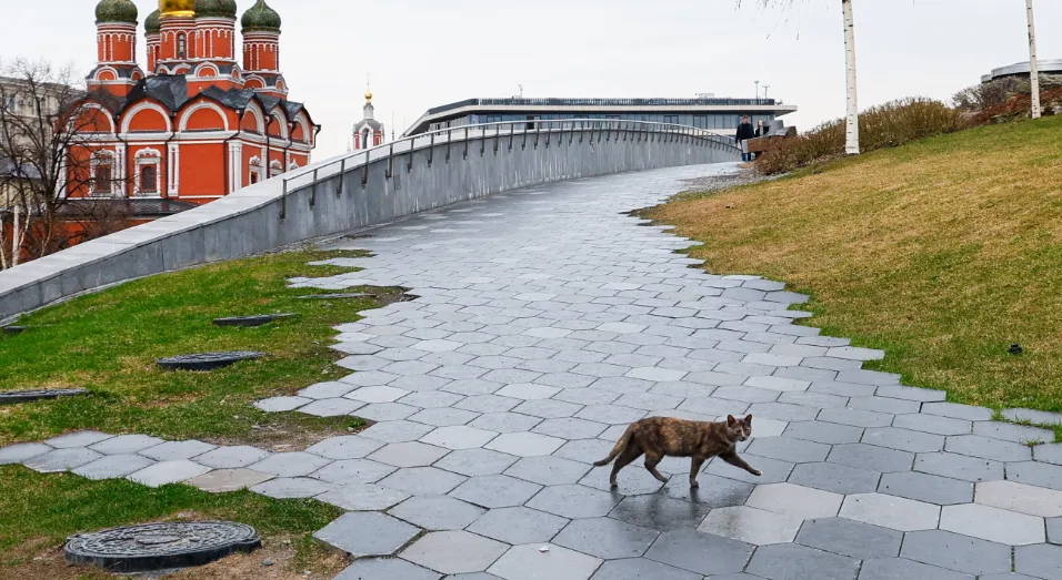 Изображение новости