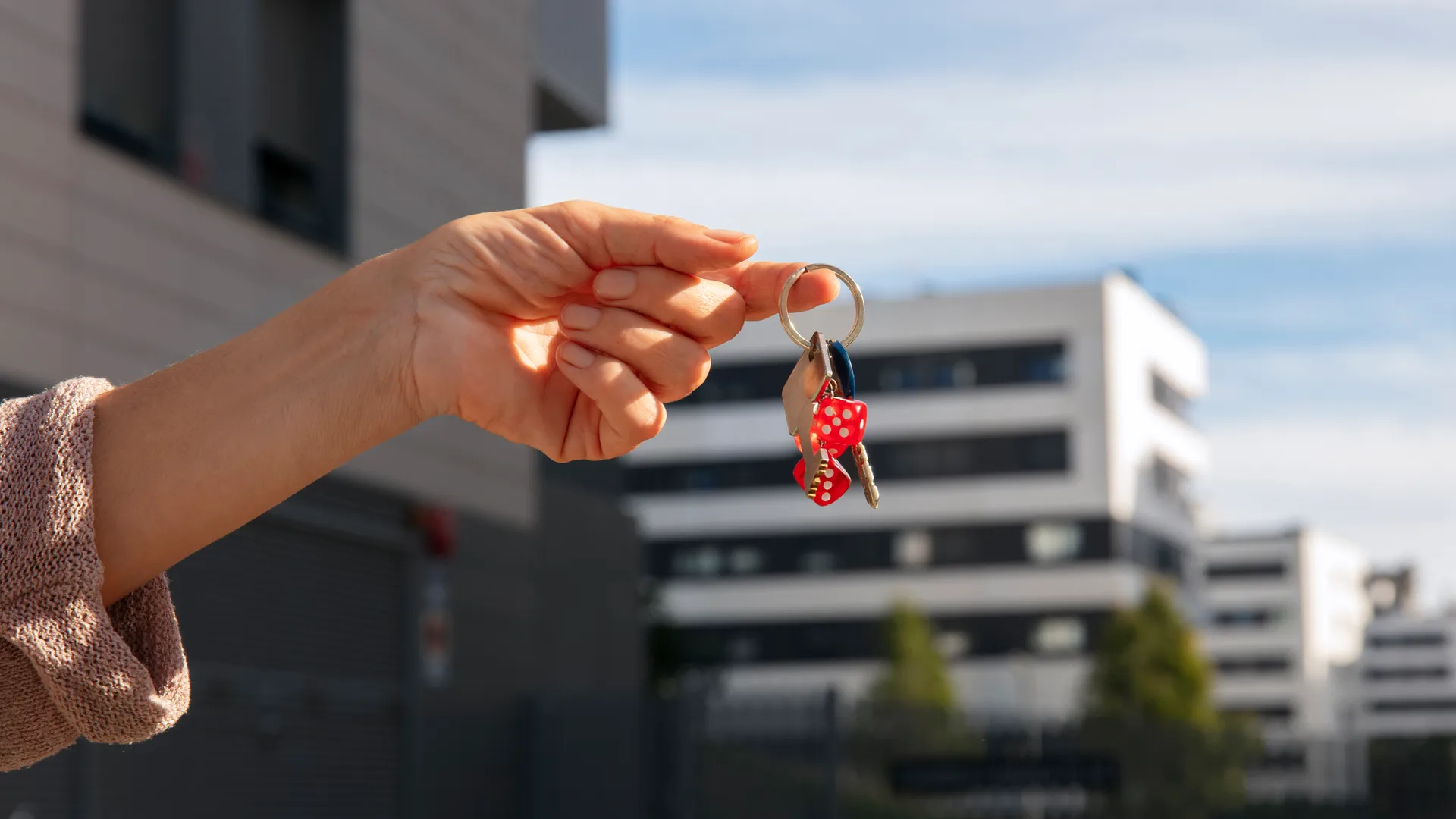 Изображение новости