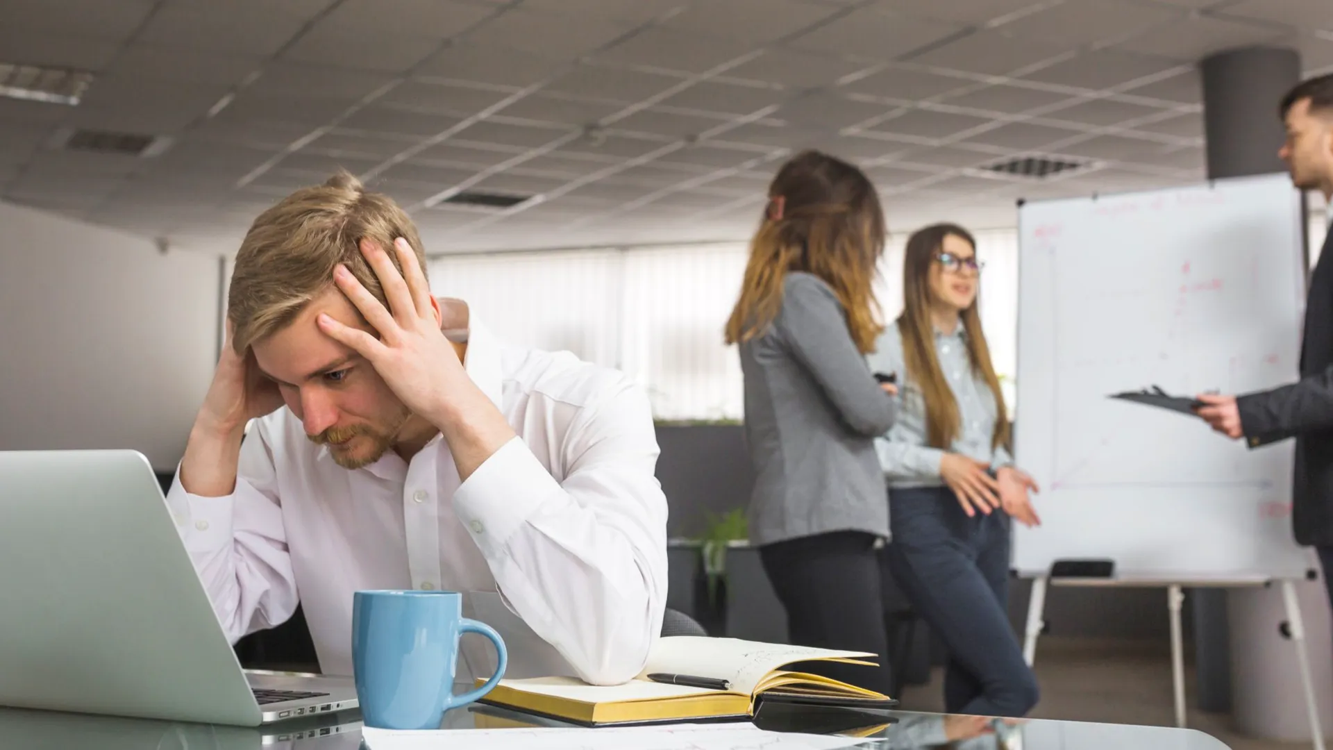 Изображение новости