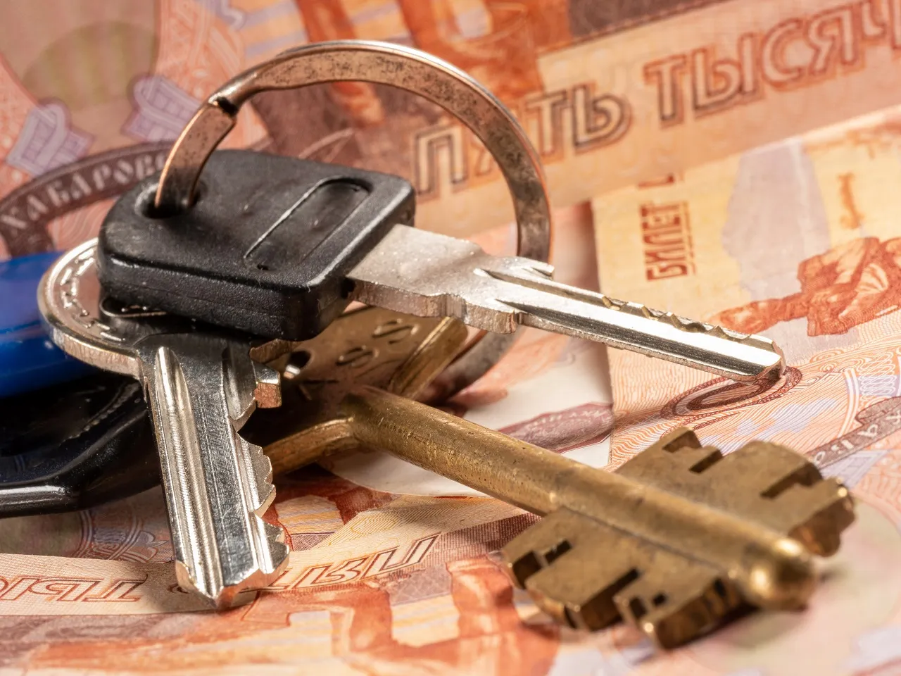 Изображение новости