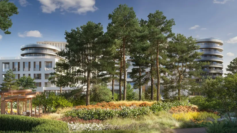 Изображение новости