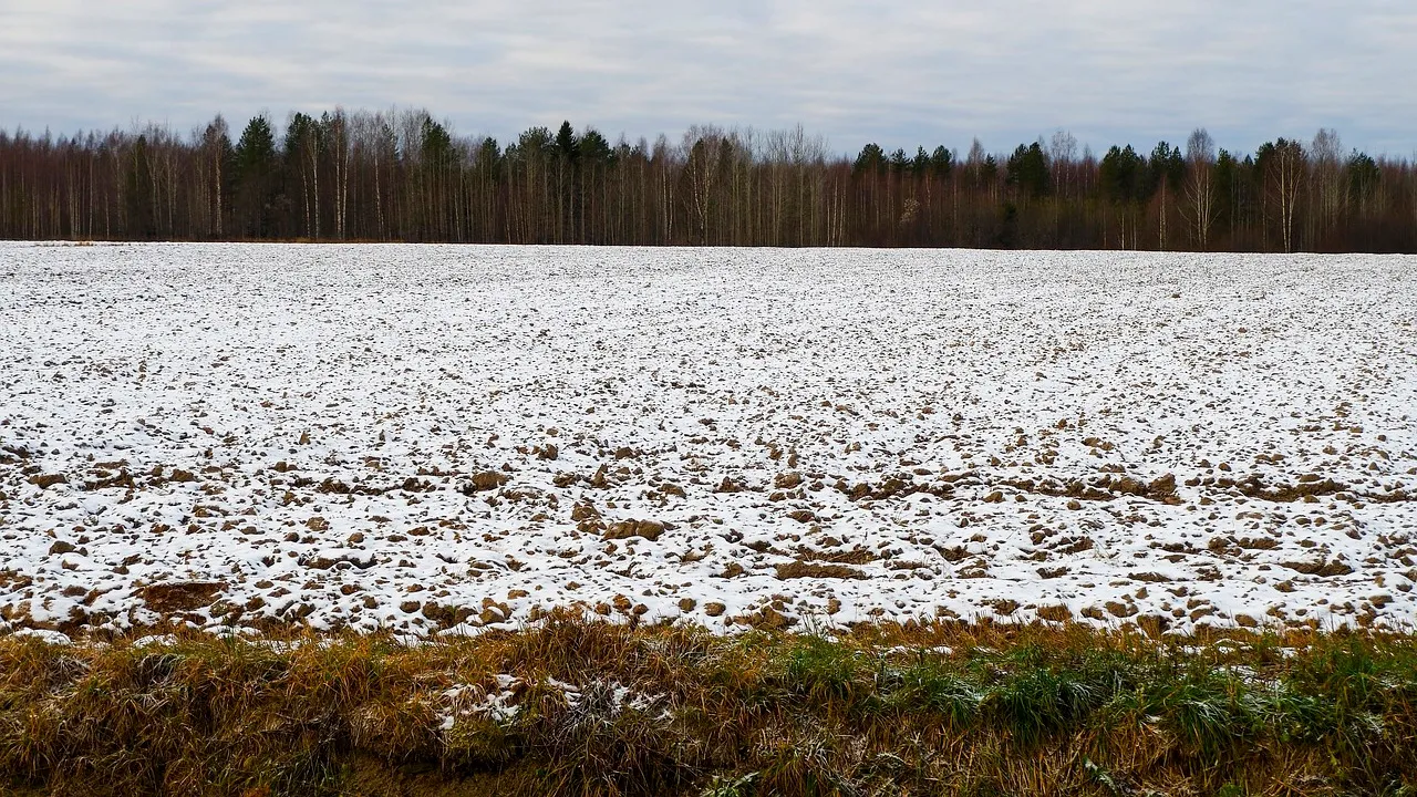 Изображение новости
