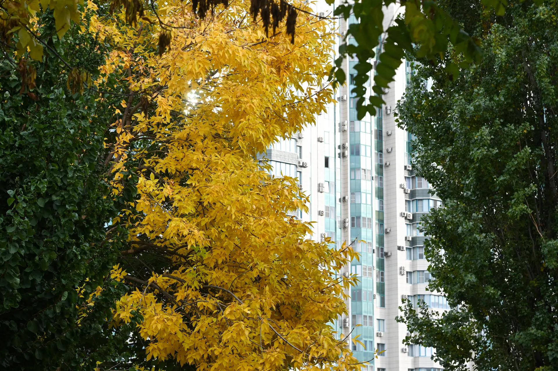 Изображение новости