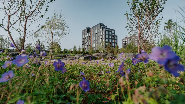 Изображение новости