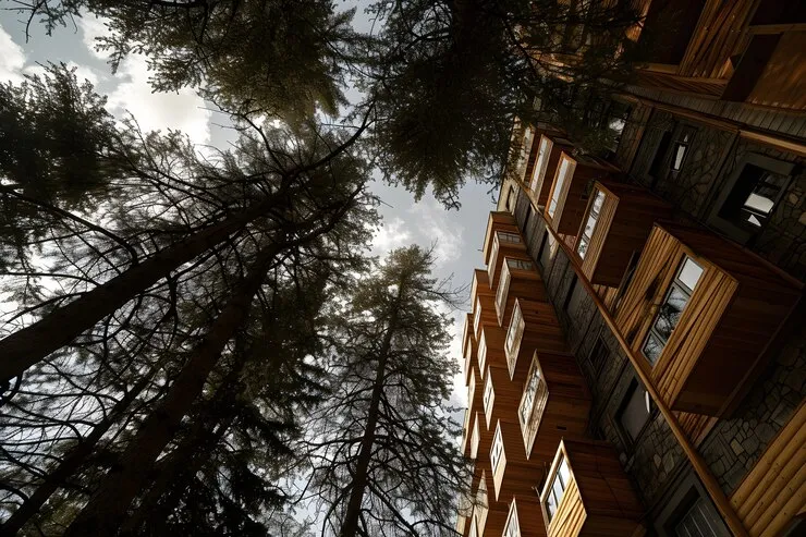 Изображение новости