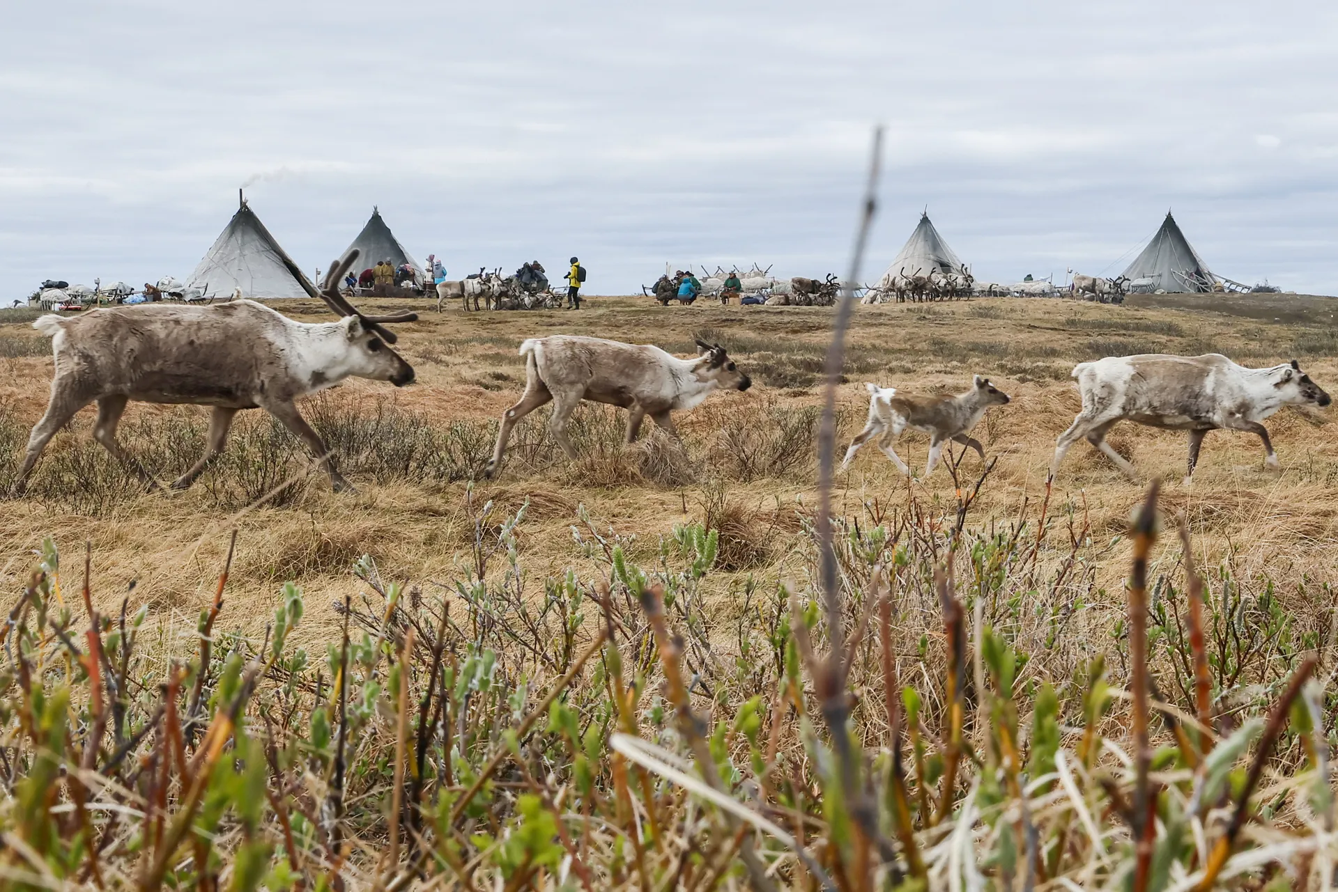 Изображение новости