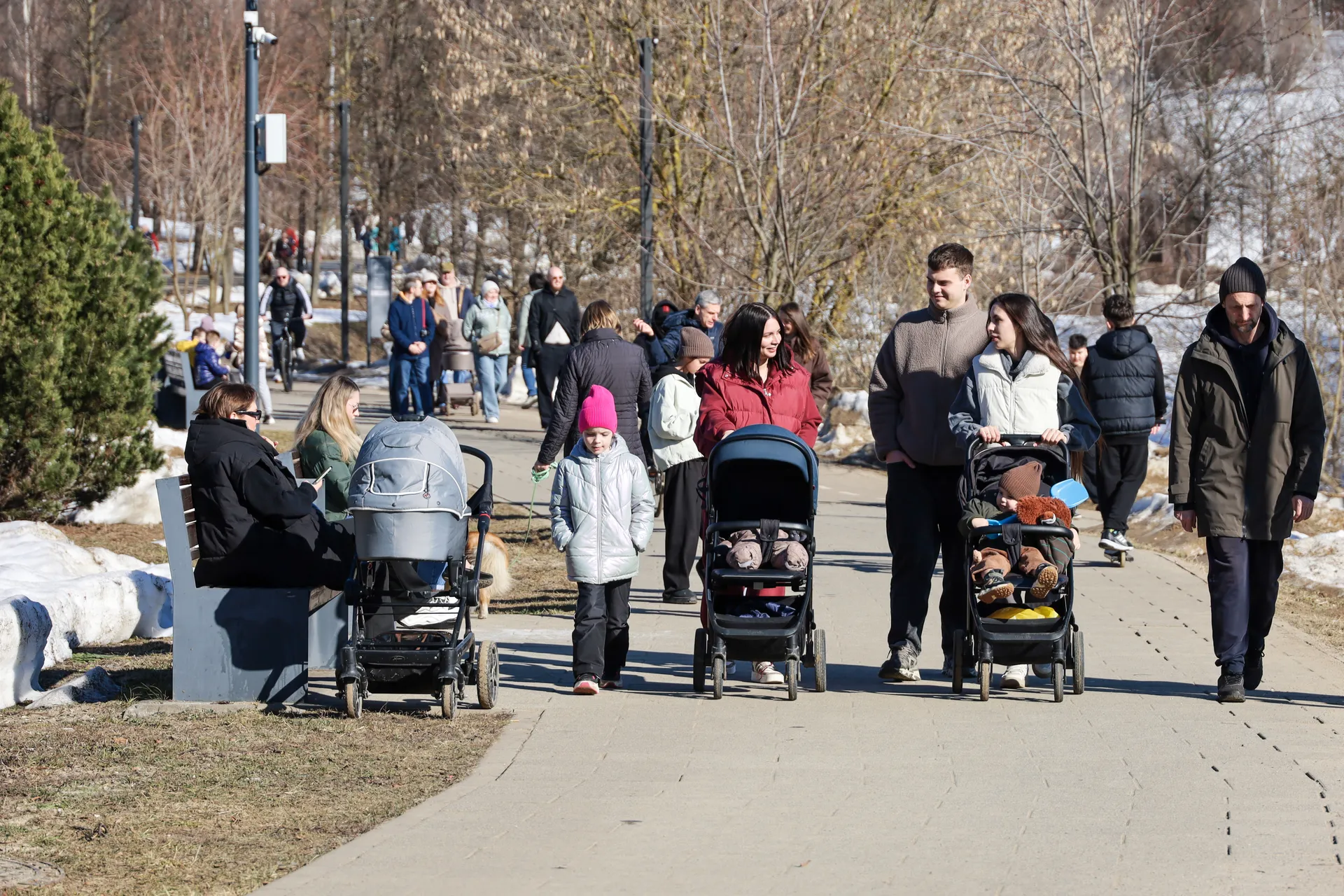 Изображение новости
