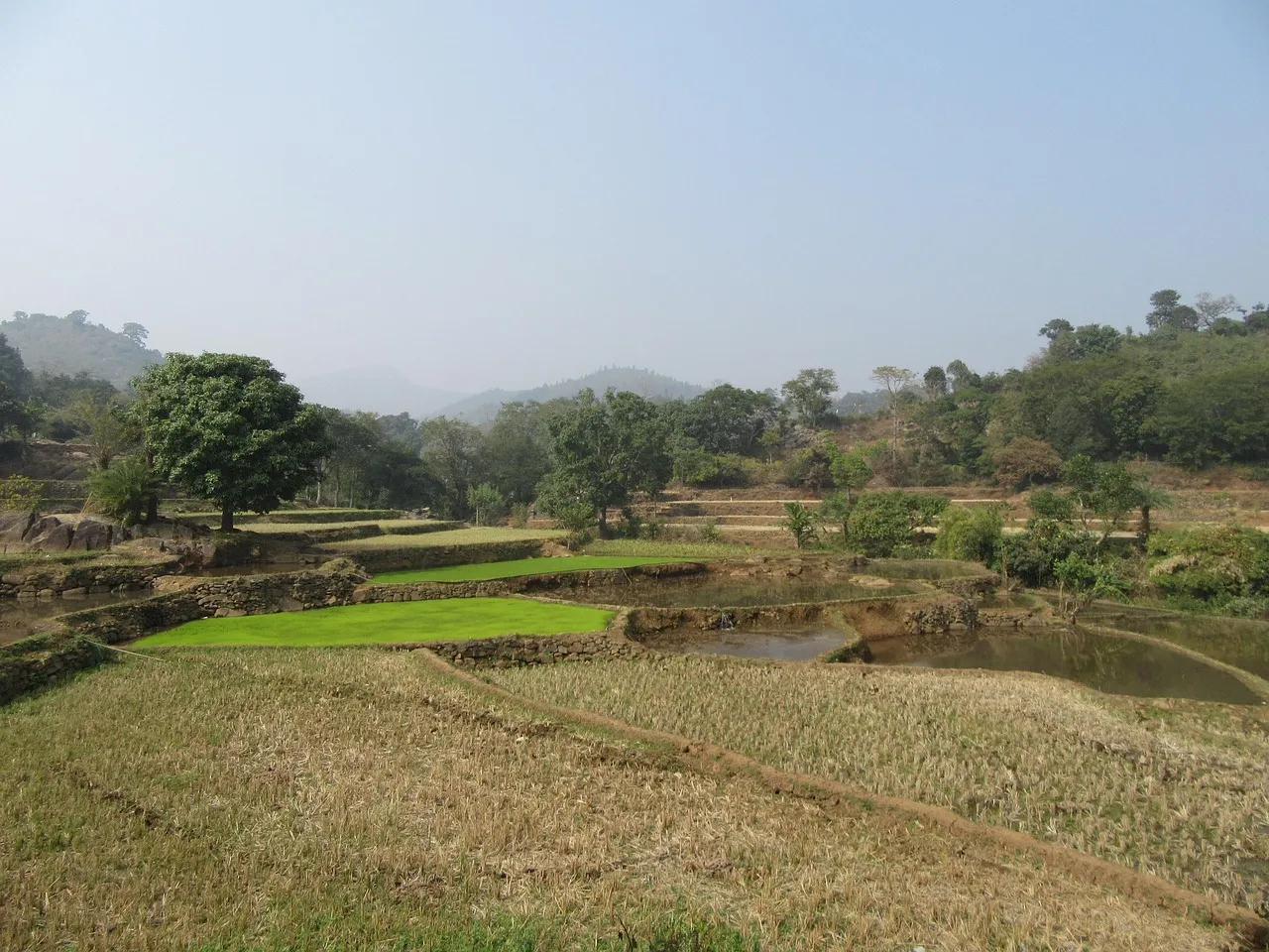 Изображение новости