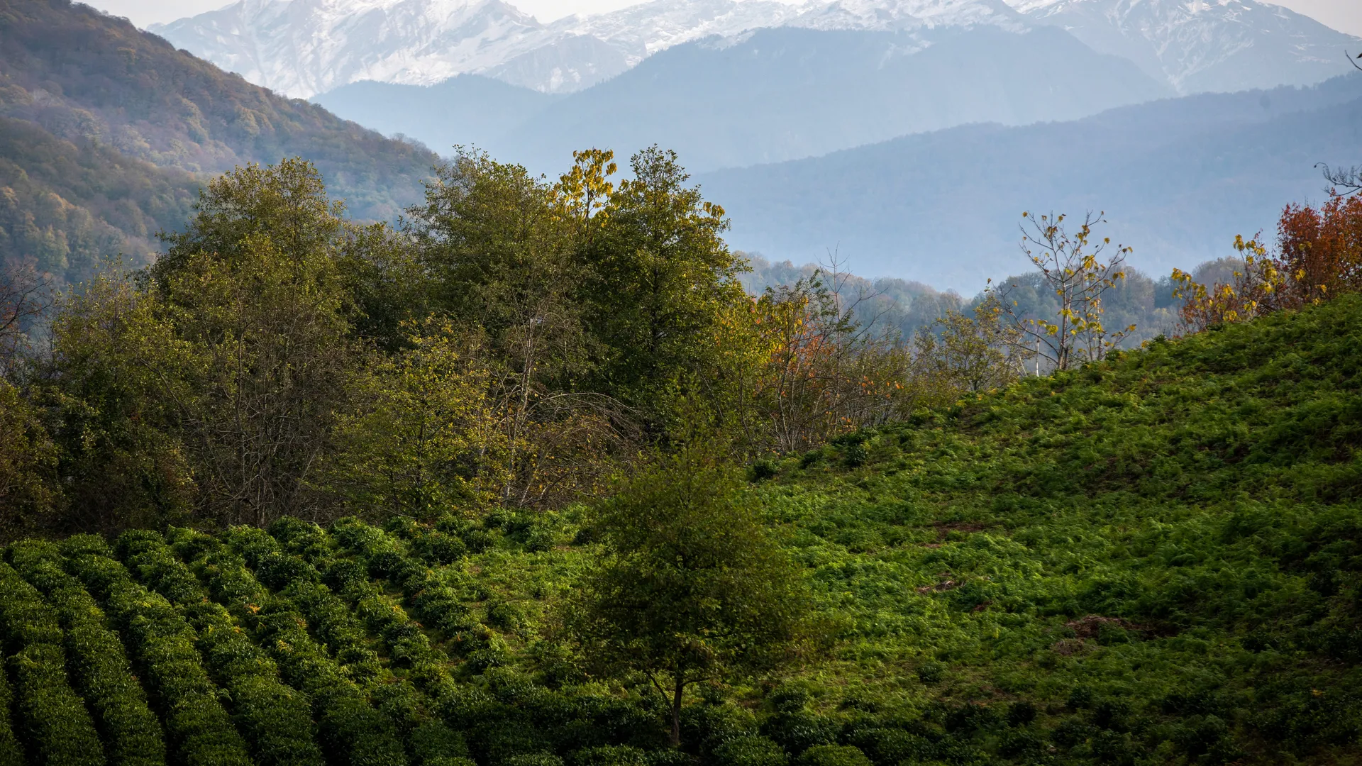 Изображение новости