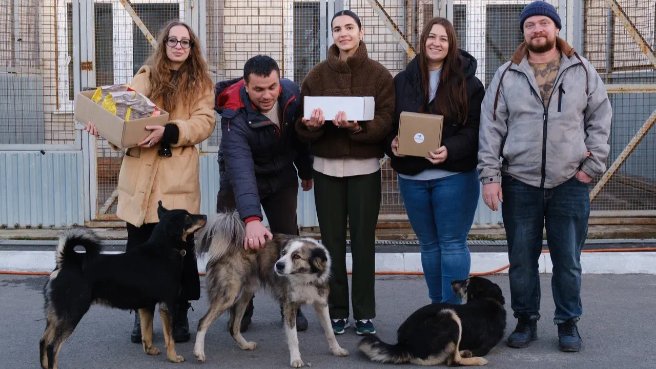 Изображение новости