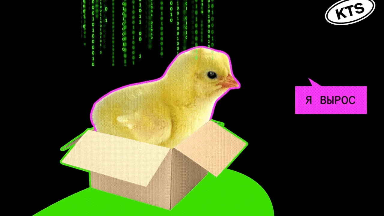 Изображение новости