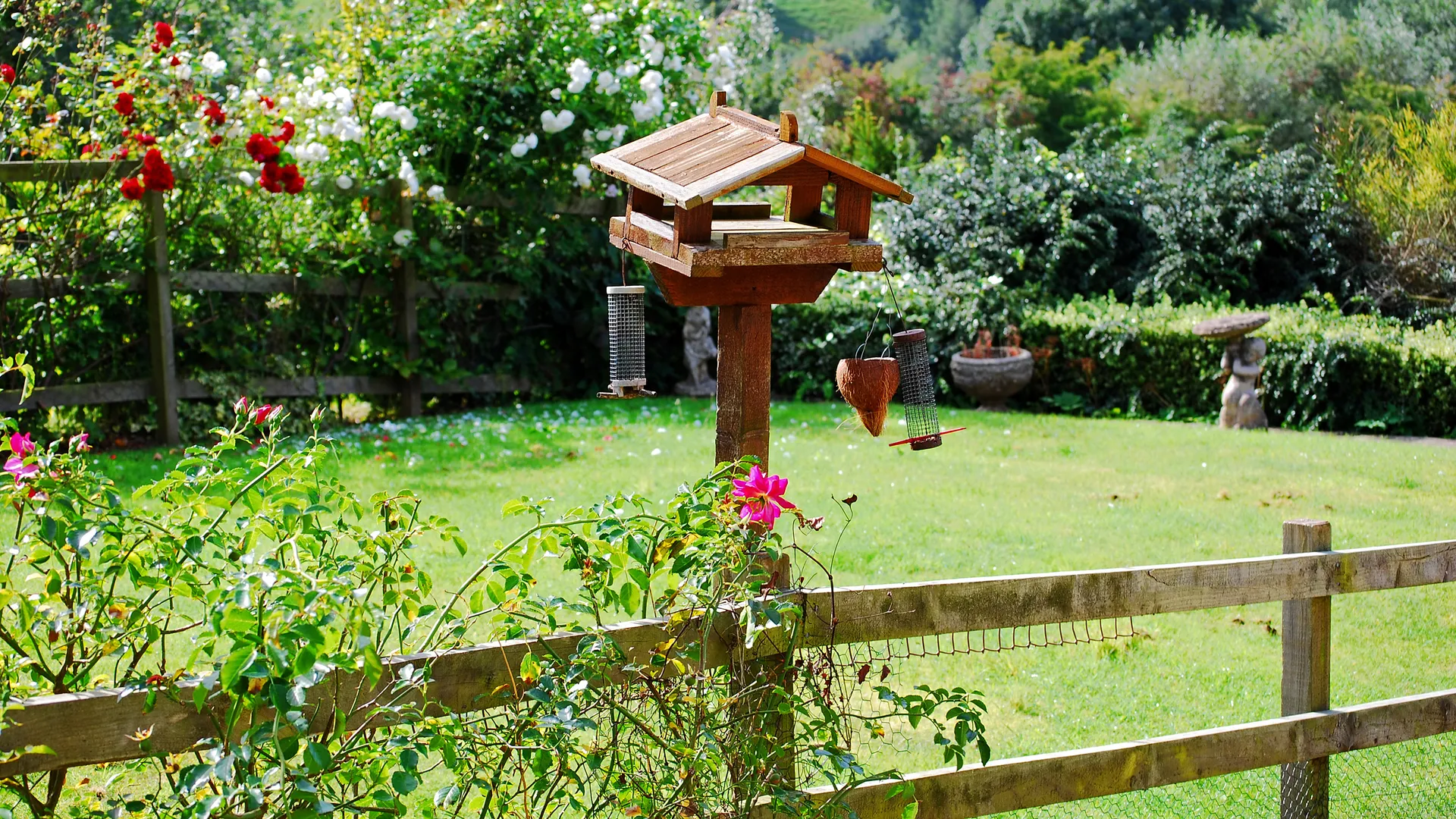 Изображение новости