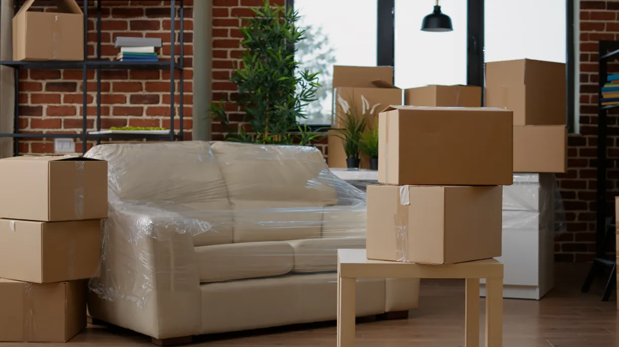 Изображение новости