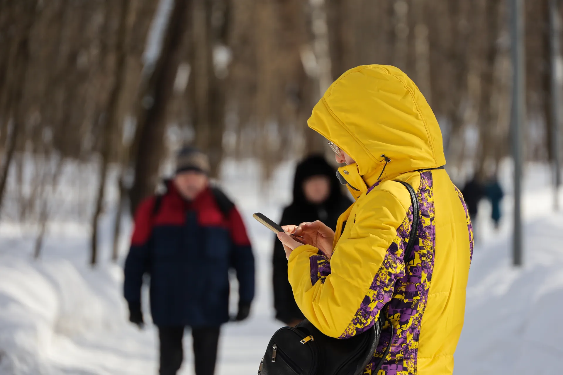 Изображение новости