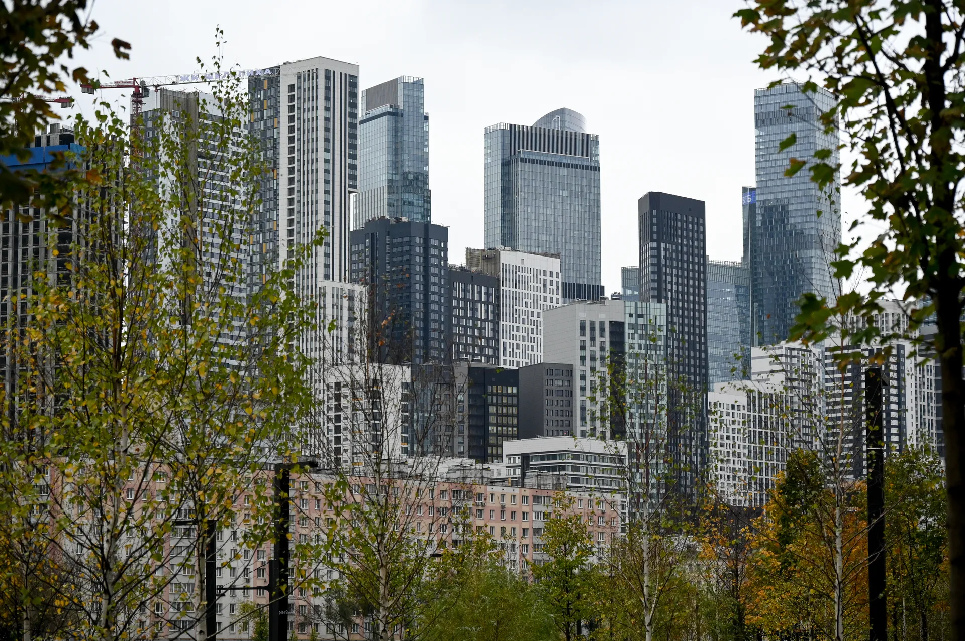 Изображение новости