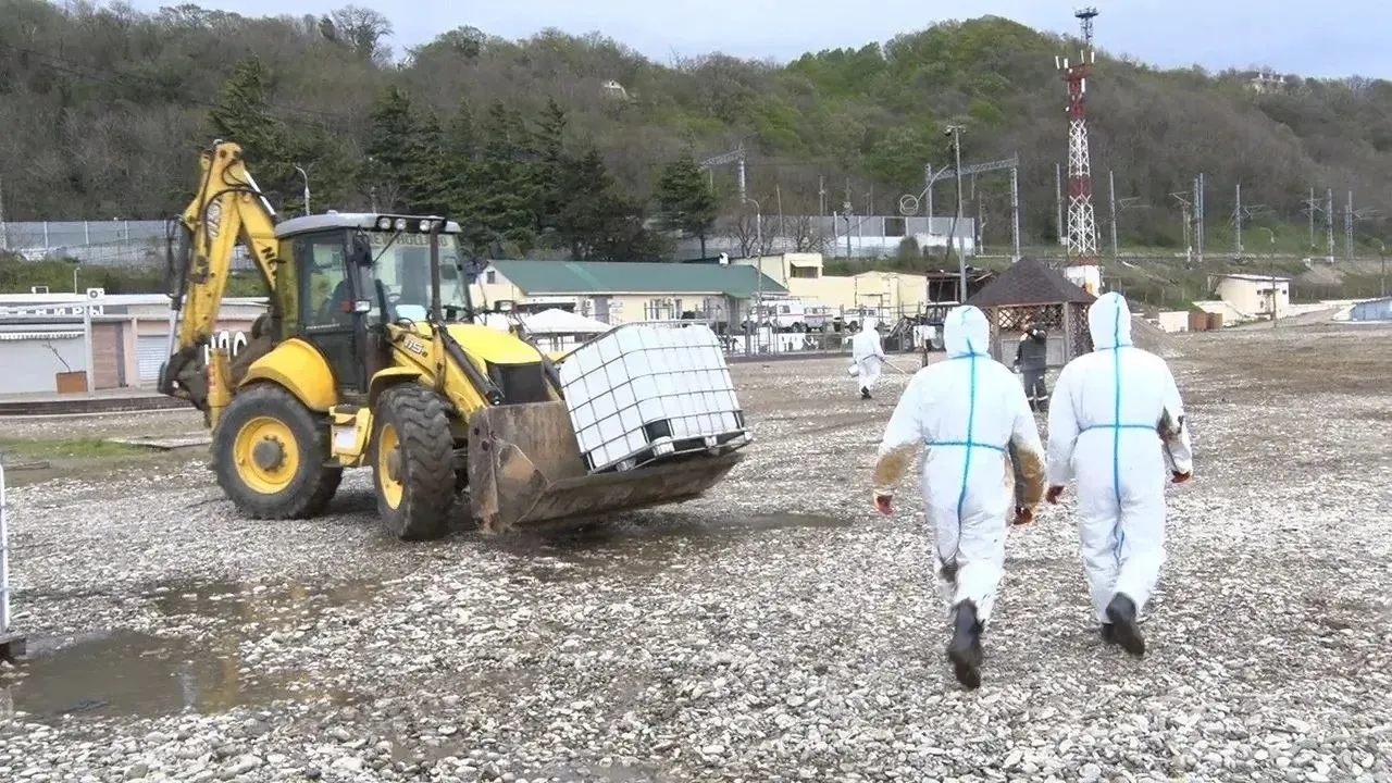 Изображение новости