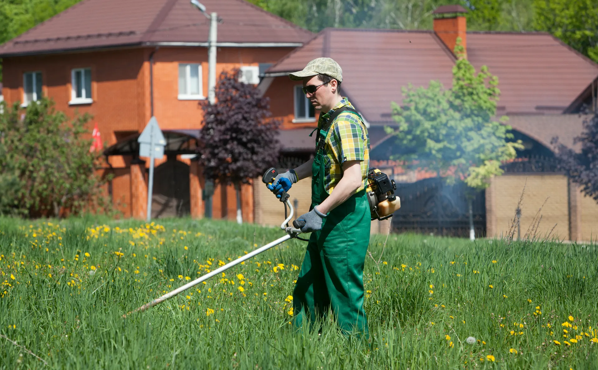 Изображение новости