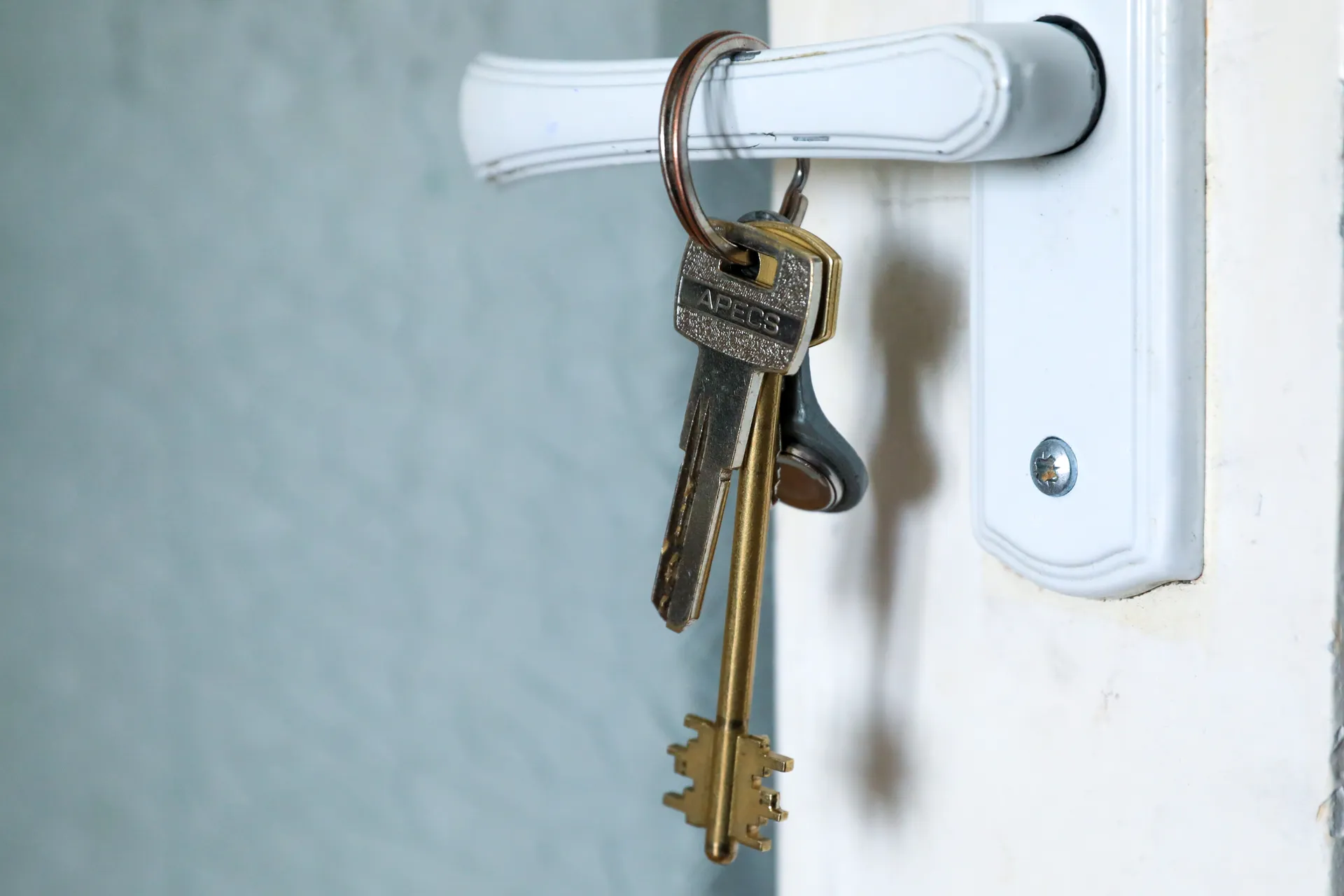 Изображение новости