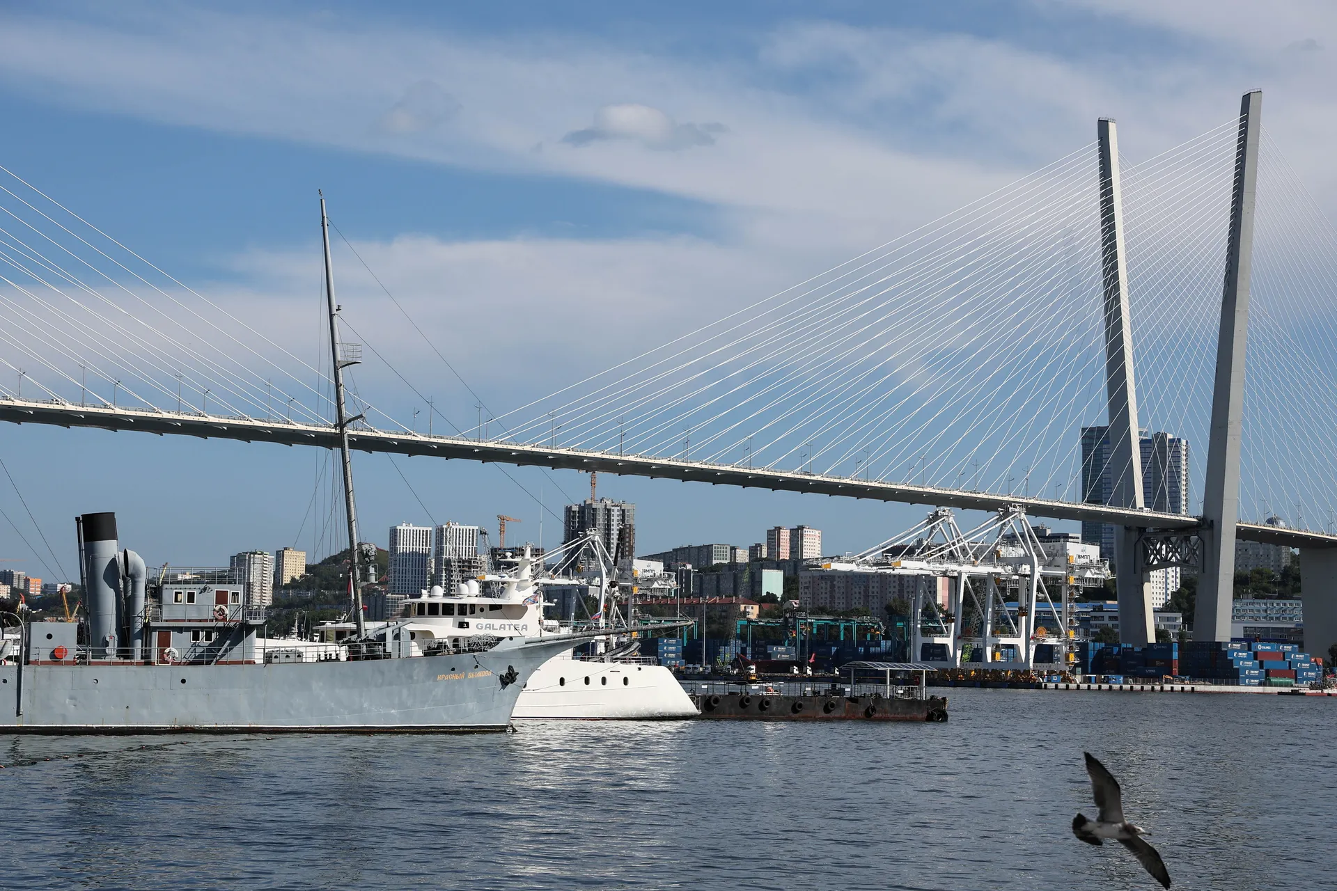 Вид на Золотой мост накануне Восточного экономического форума