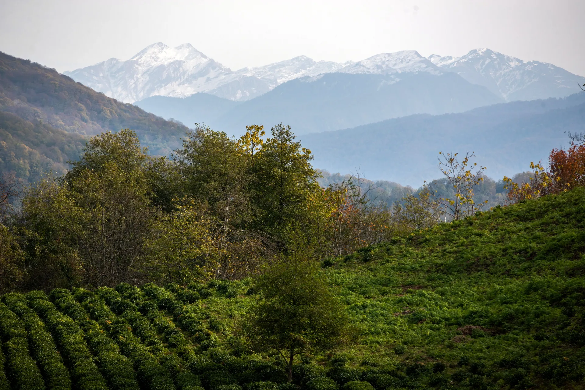Изображение новости