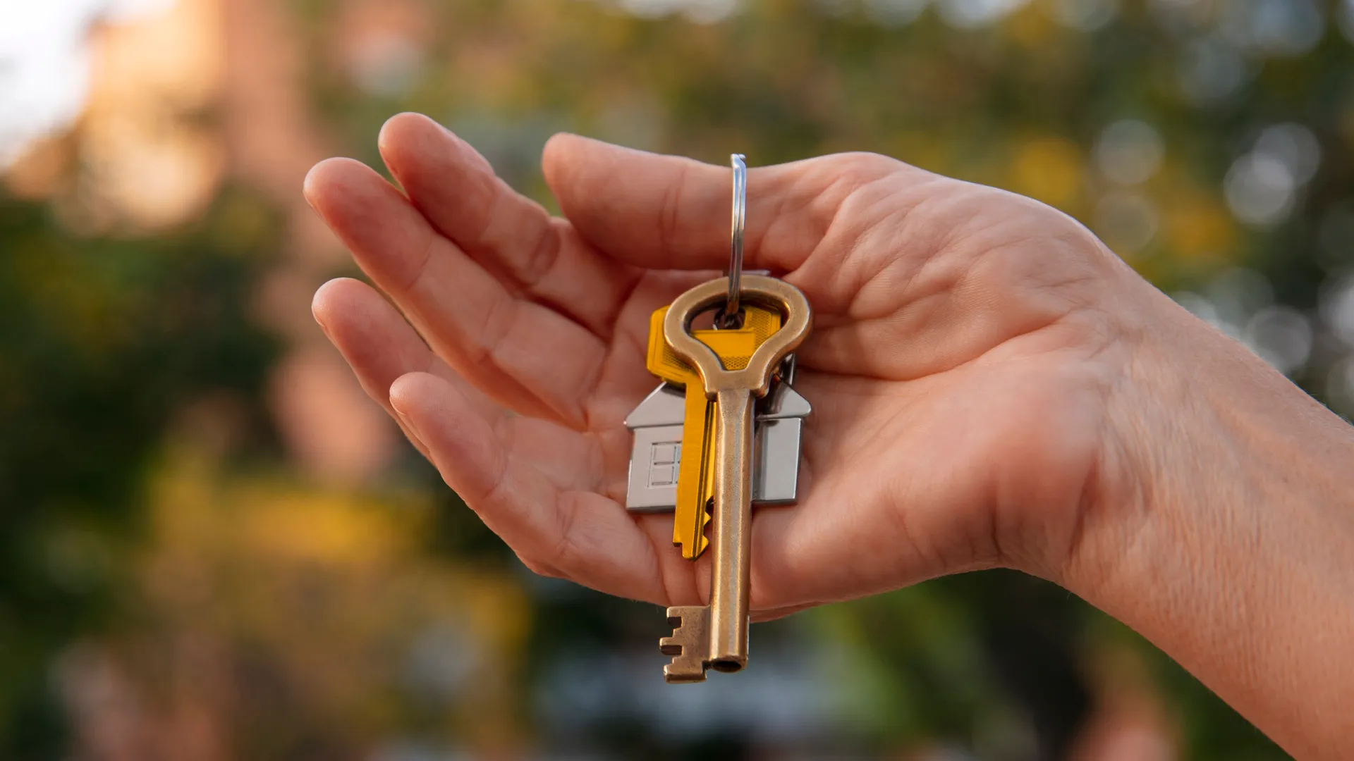 Изображение новости