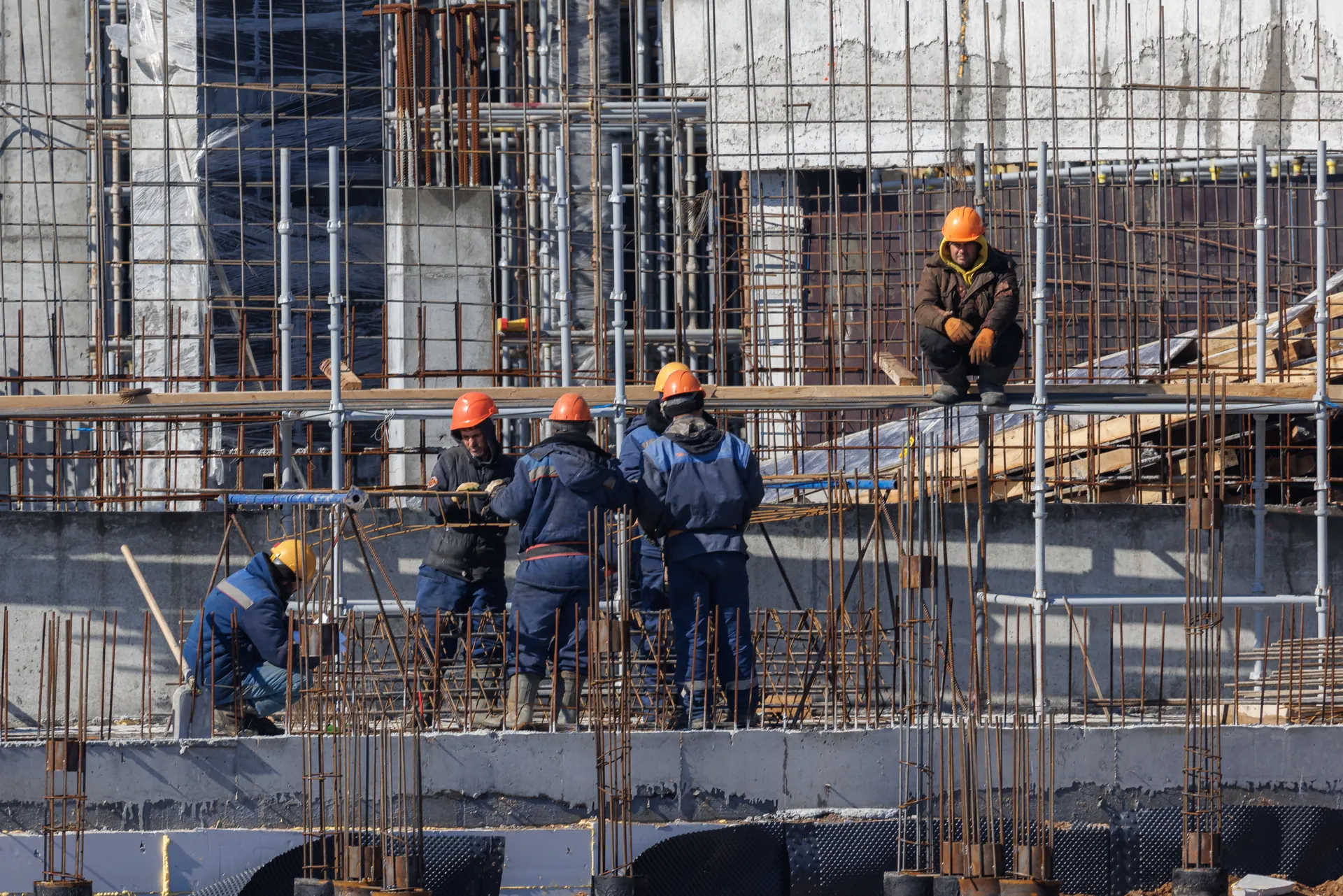 Изображение новости