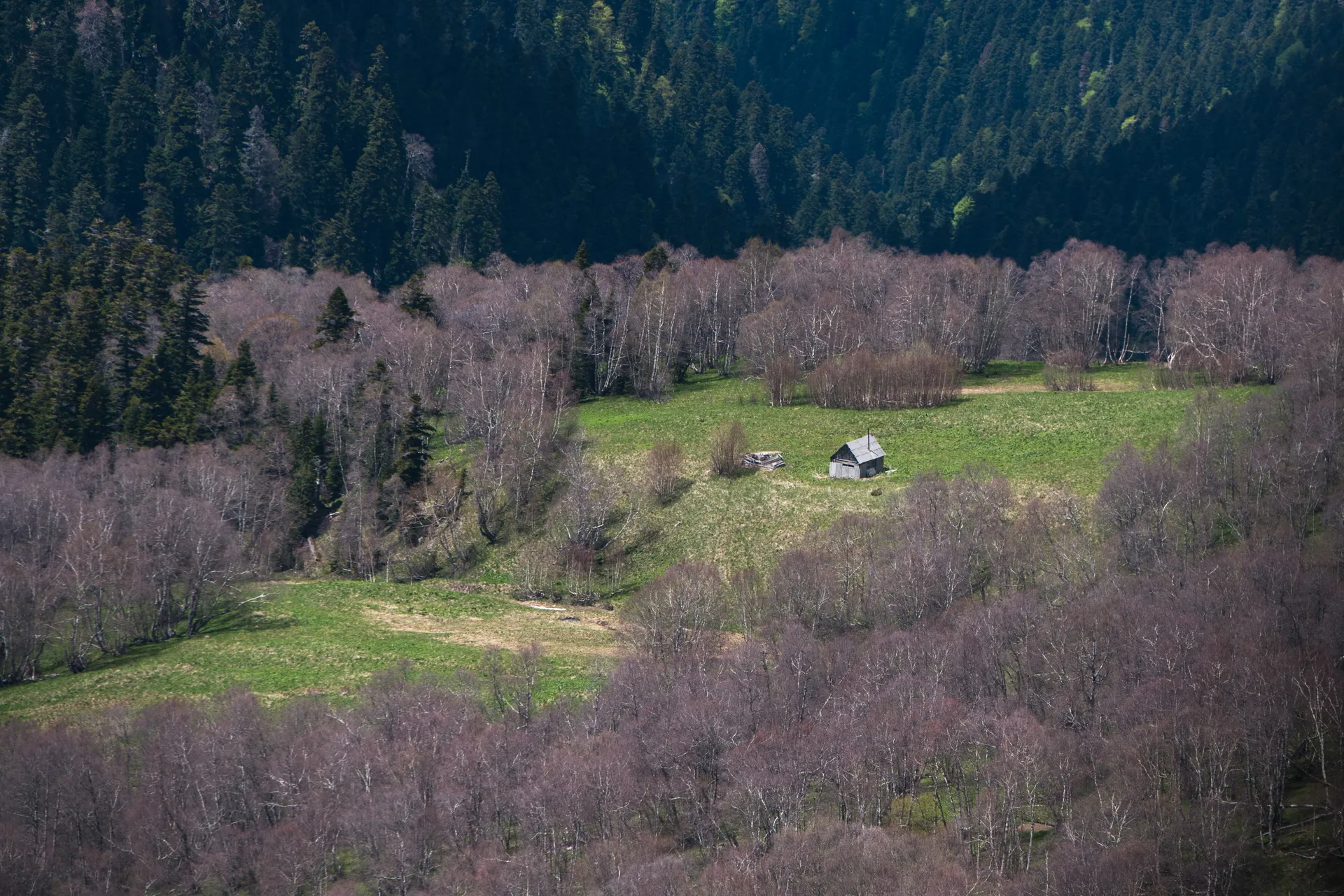 Кавказский государственный природный биосферный заповедник