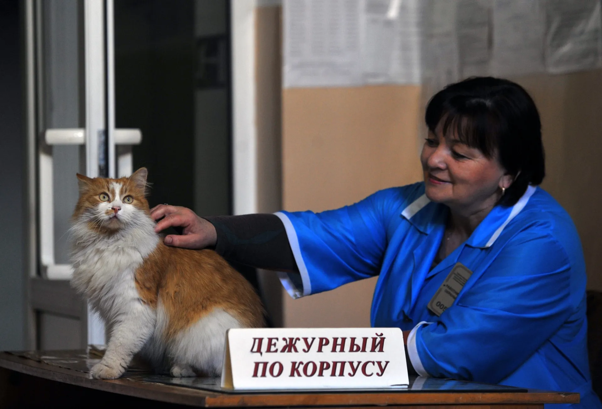 Изображение новости