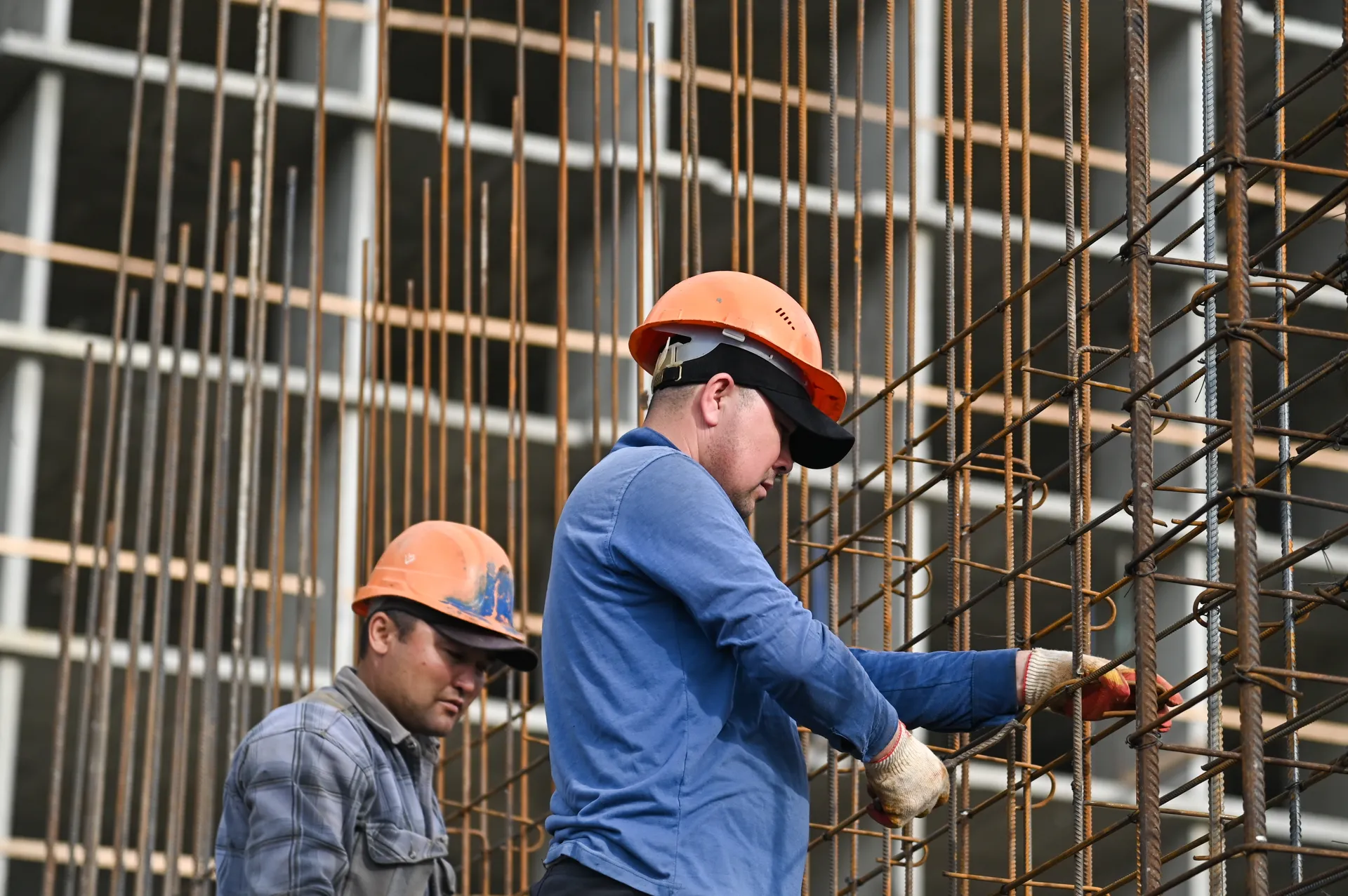 Изображение новости