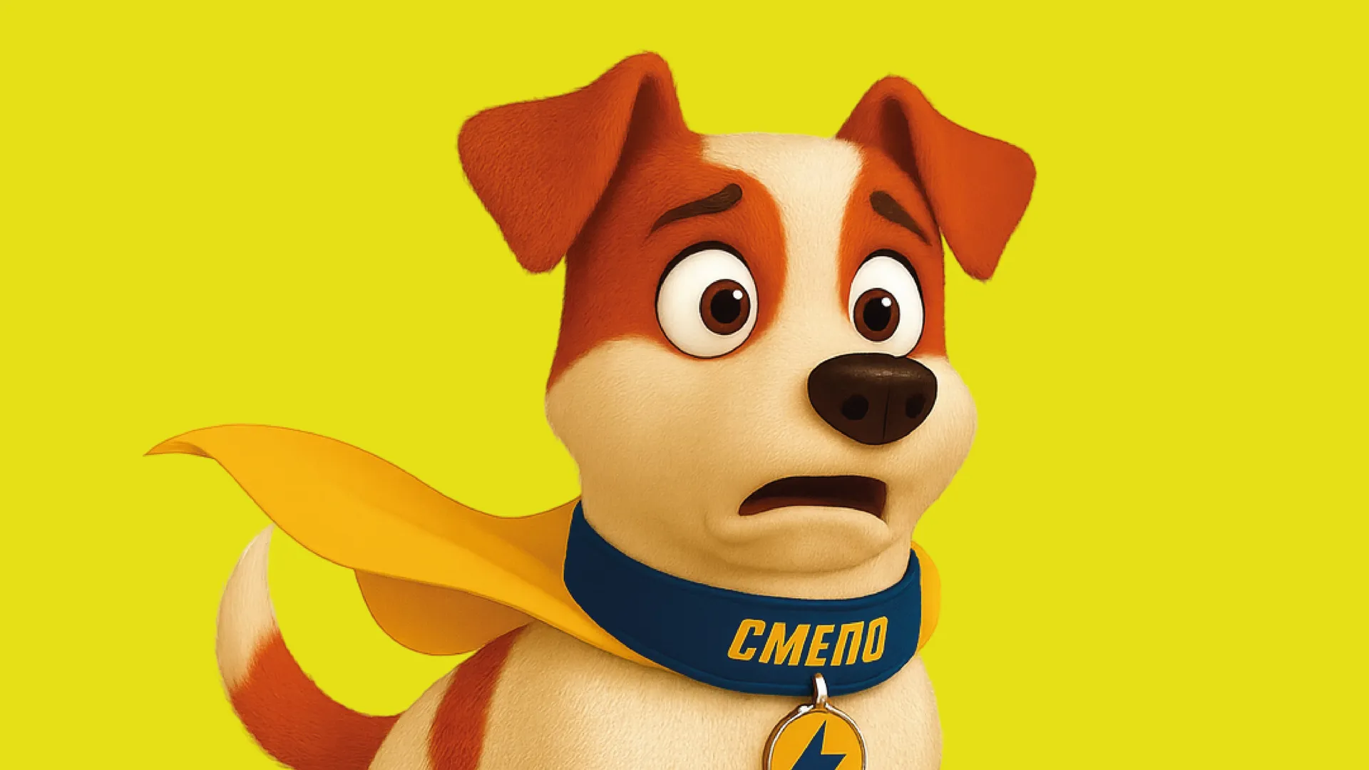 Изображение новости