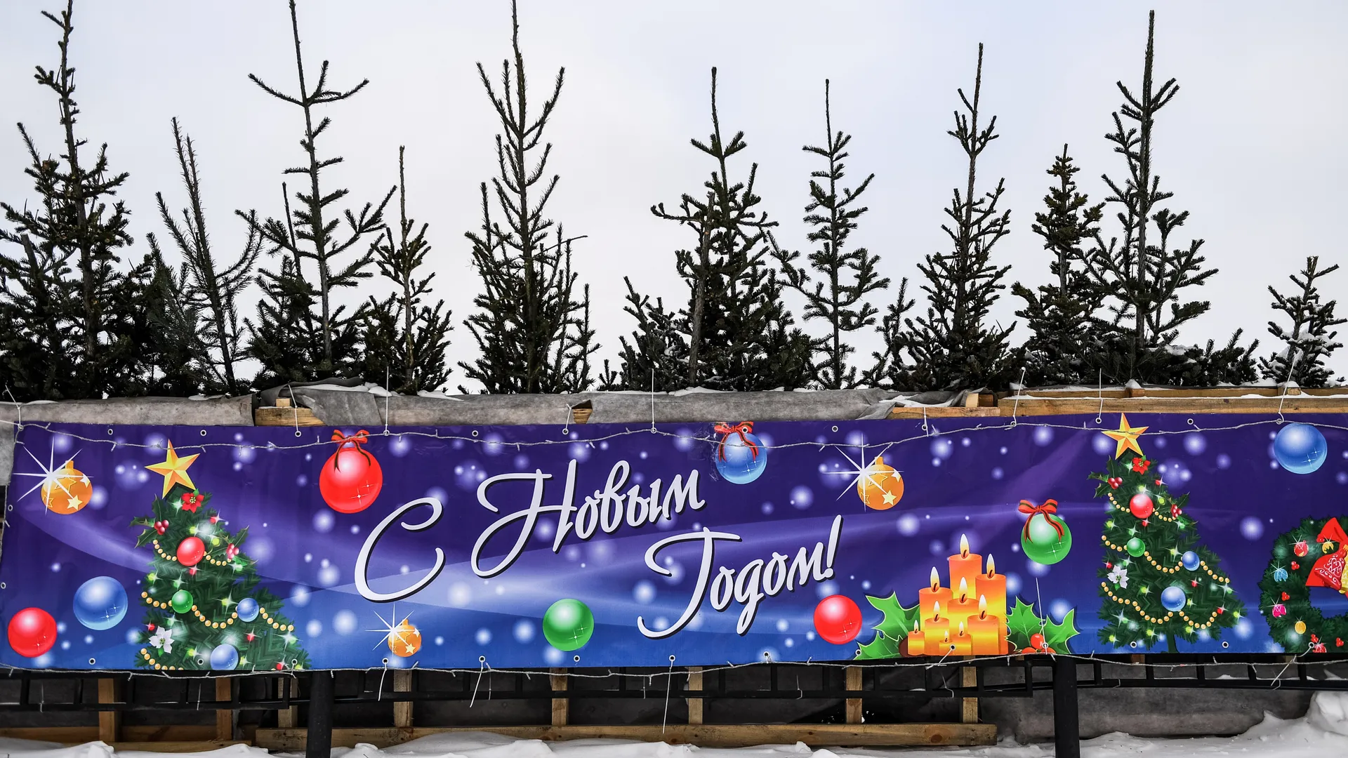 Изображение новости