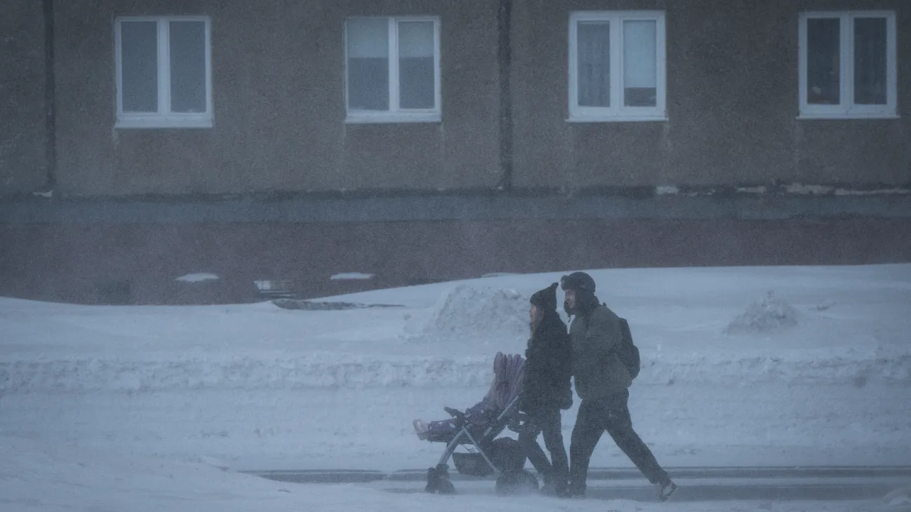 Изображение новости