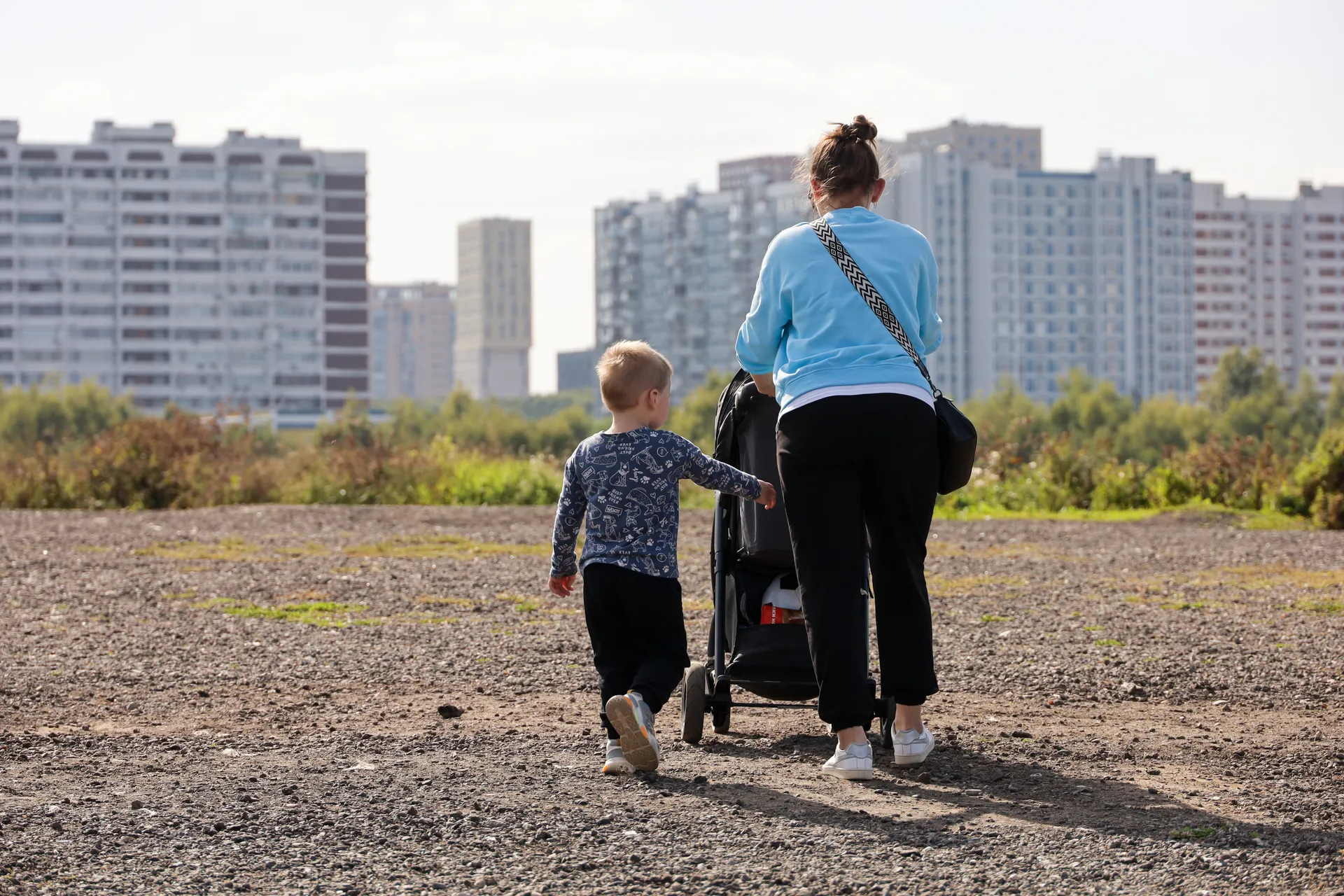 Изображение новости