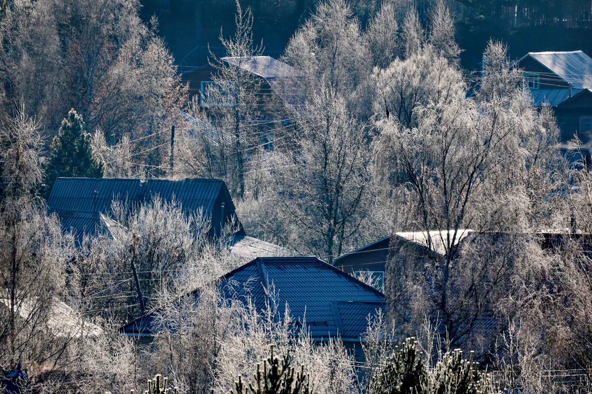 Изображение новости