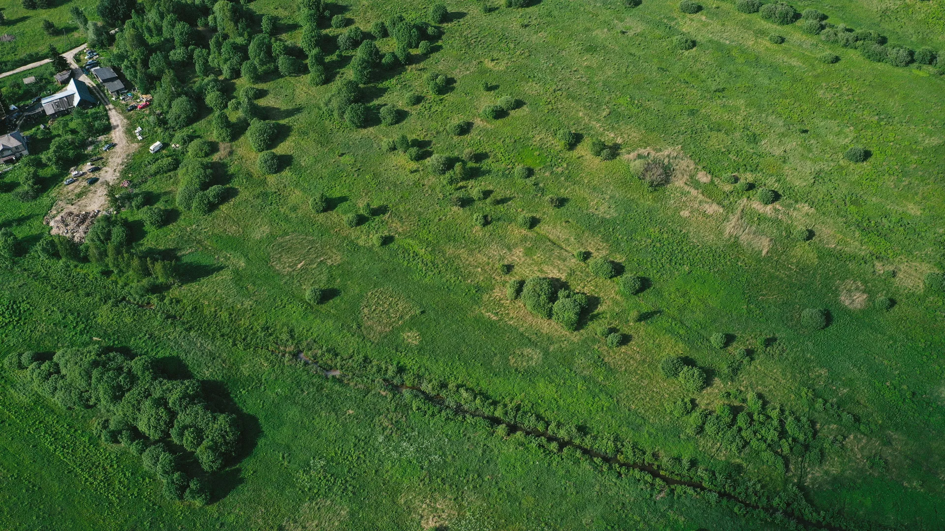 Изображение новости