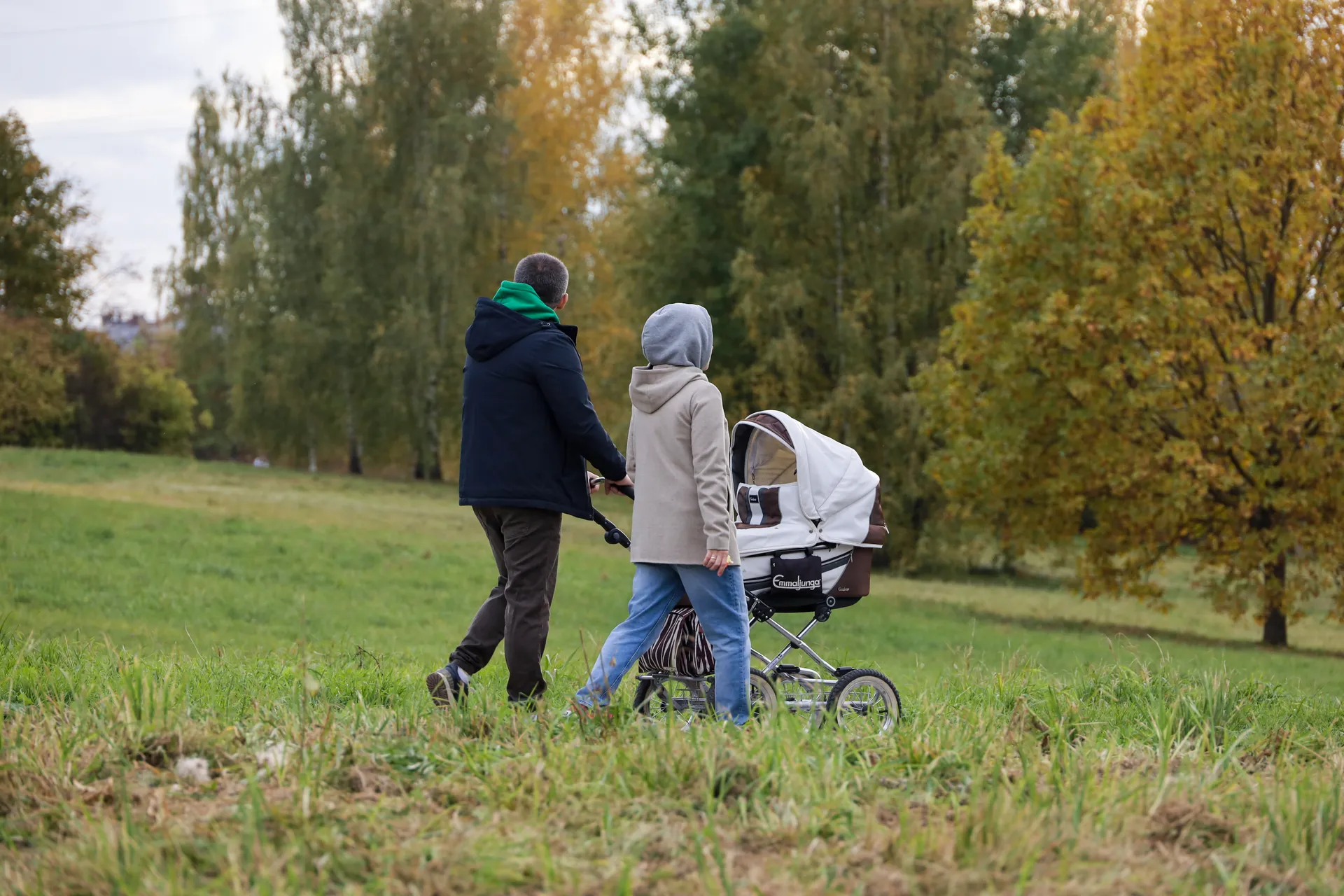 Изображение новости