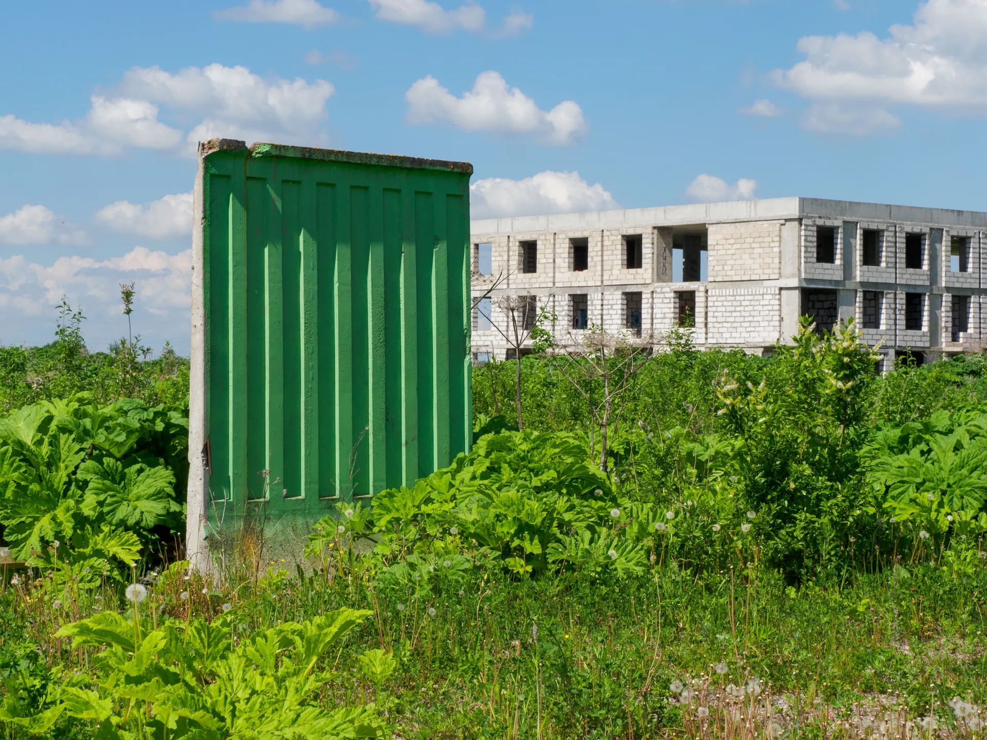 Изображение новости