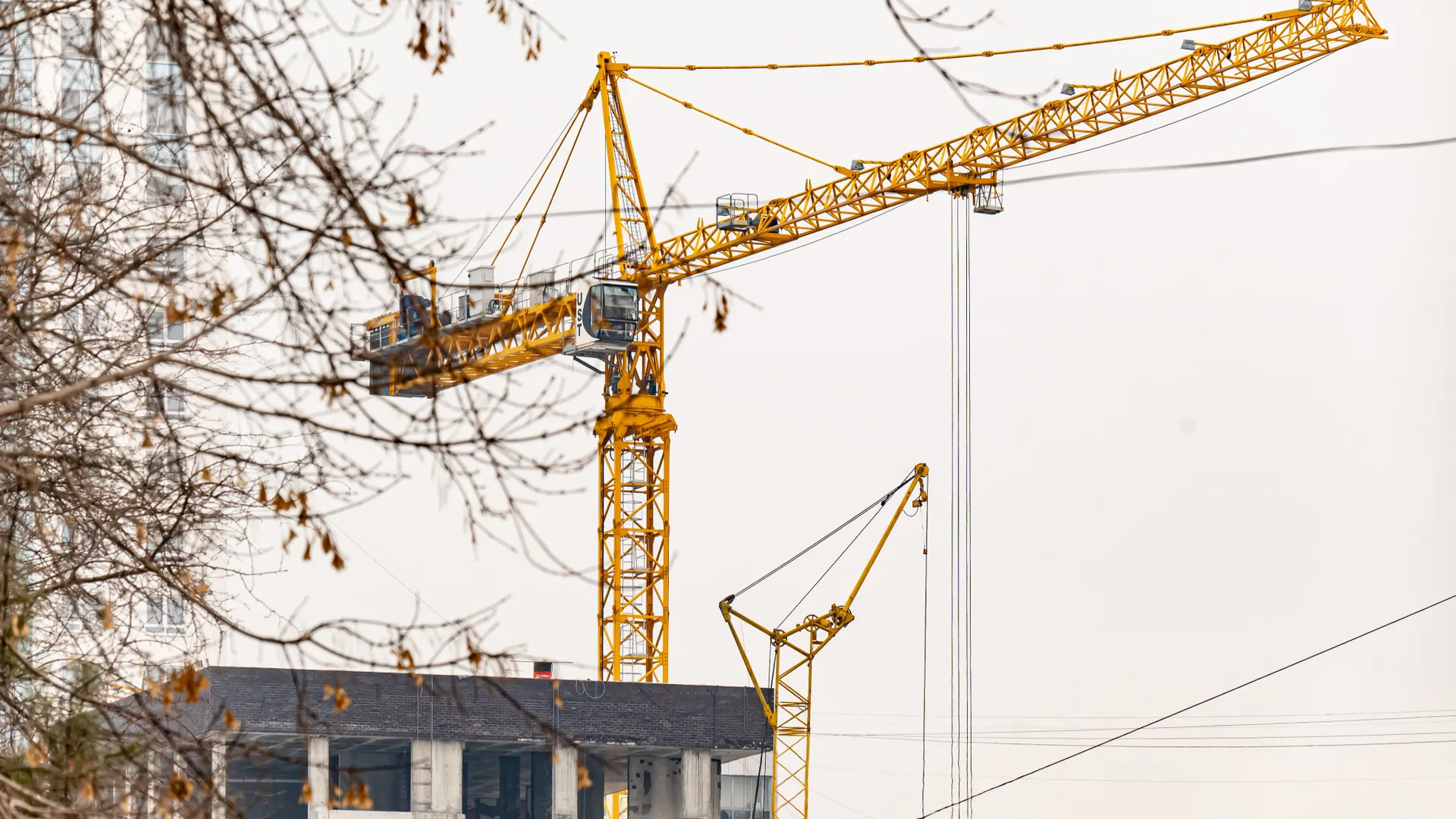 Изображение новости