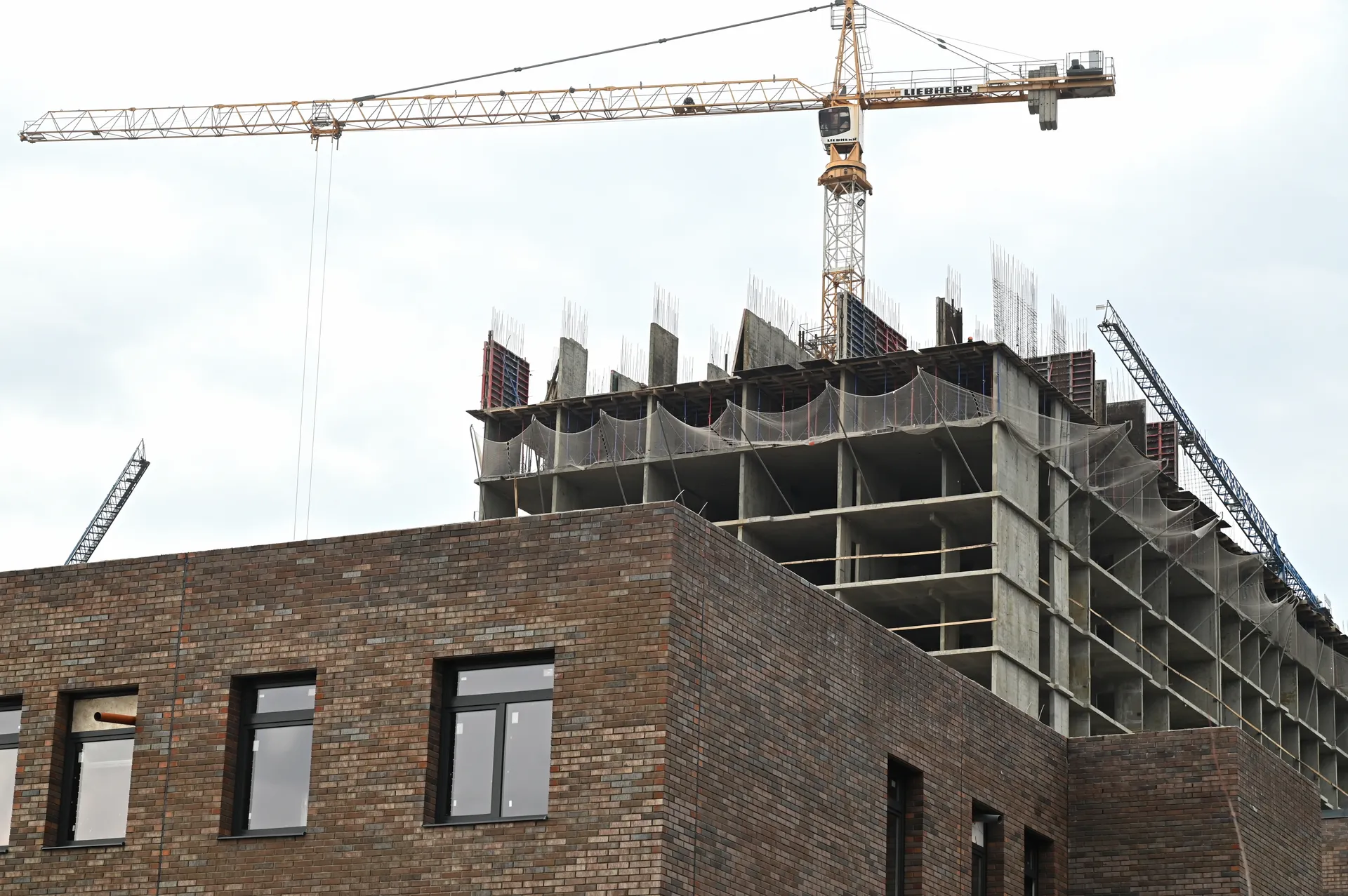 Изображение новости