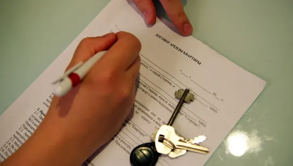 Изображение новости