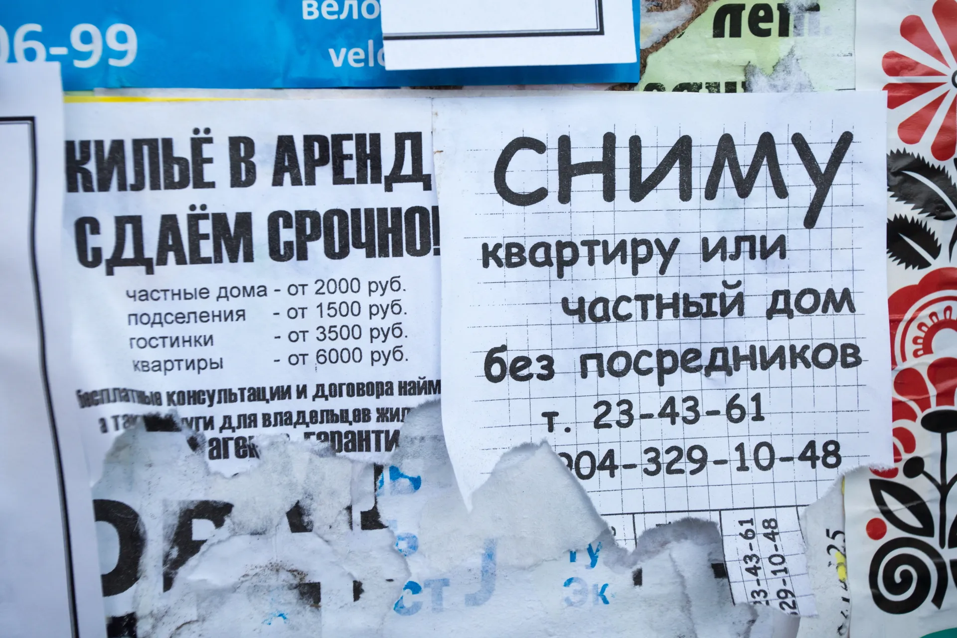 Изображение новости