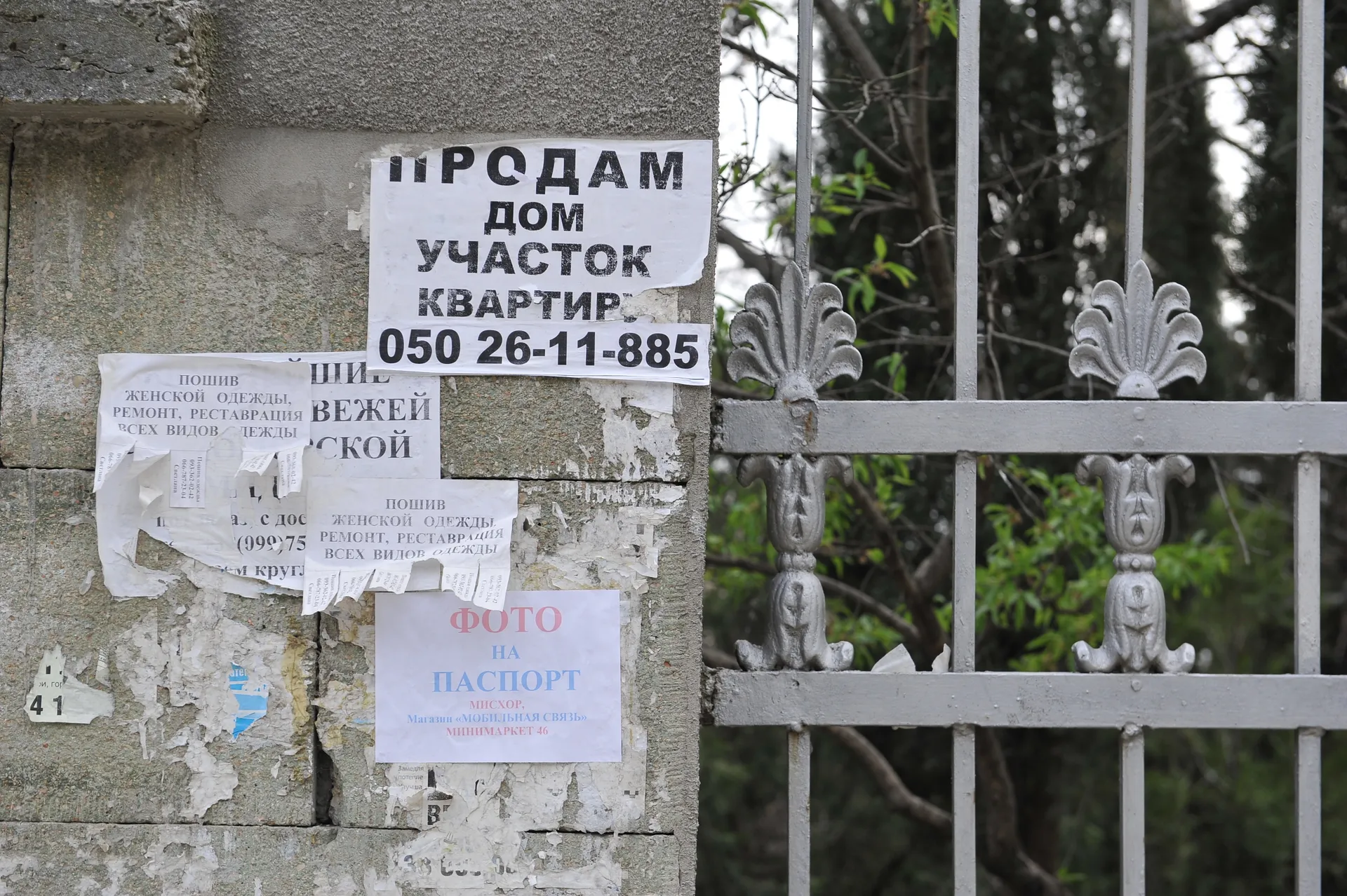 Изображение новости