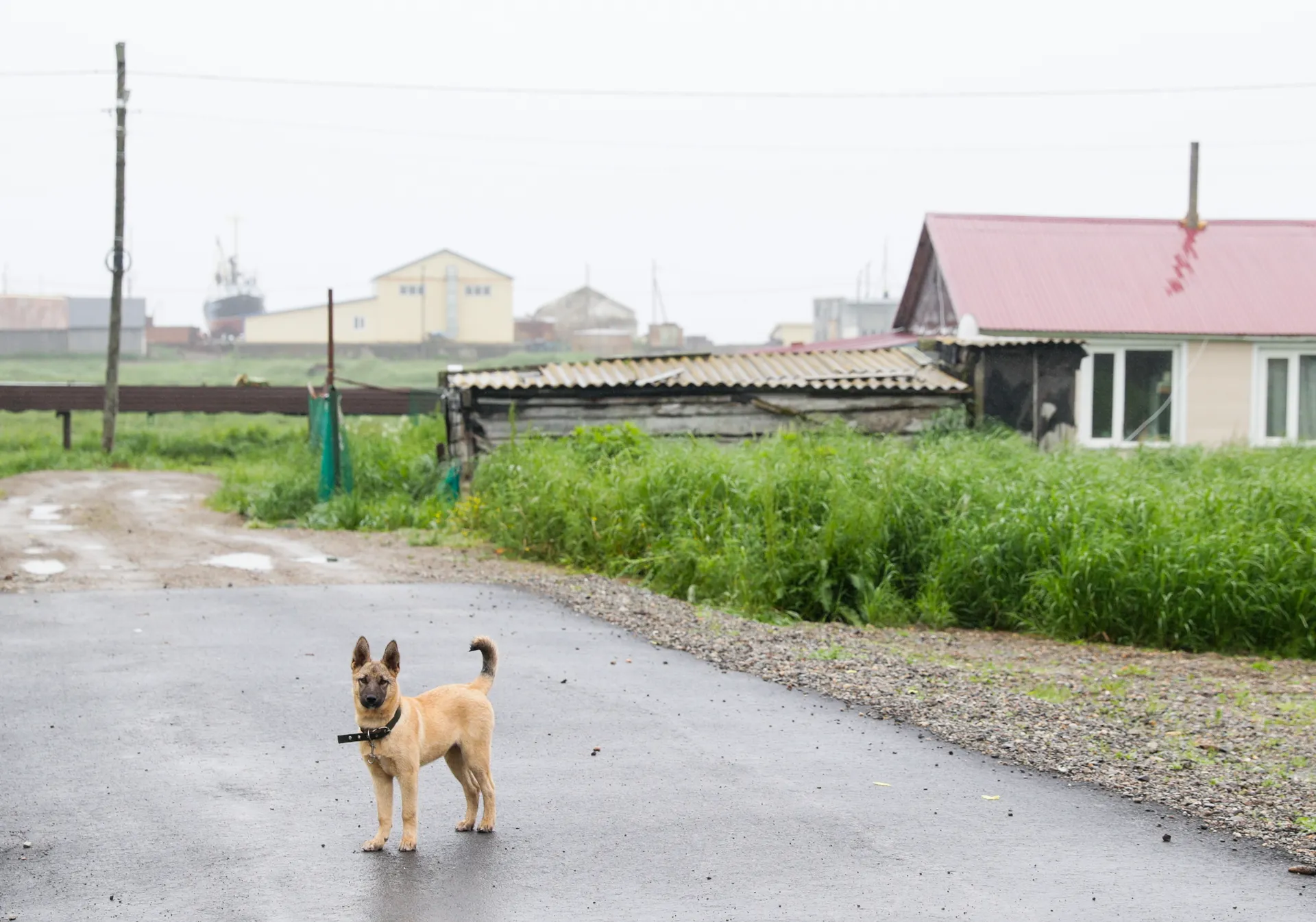 Изображение новости