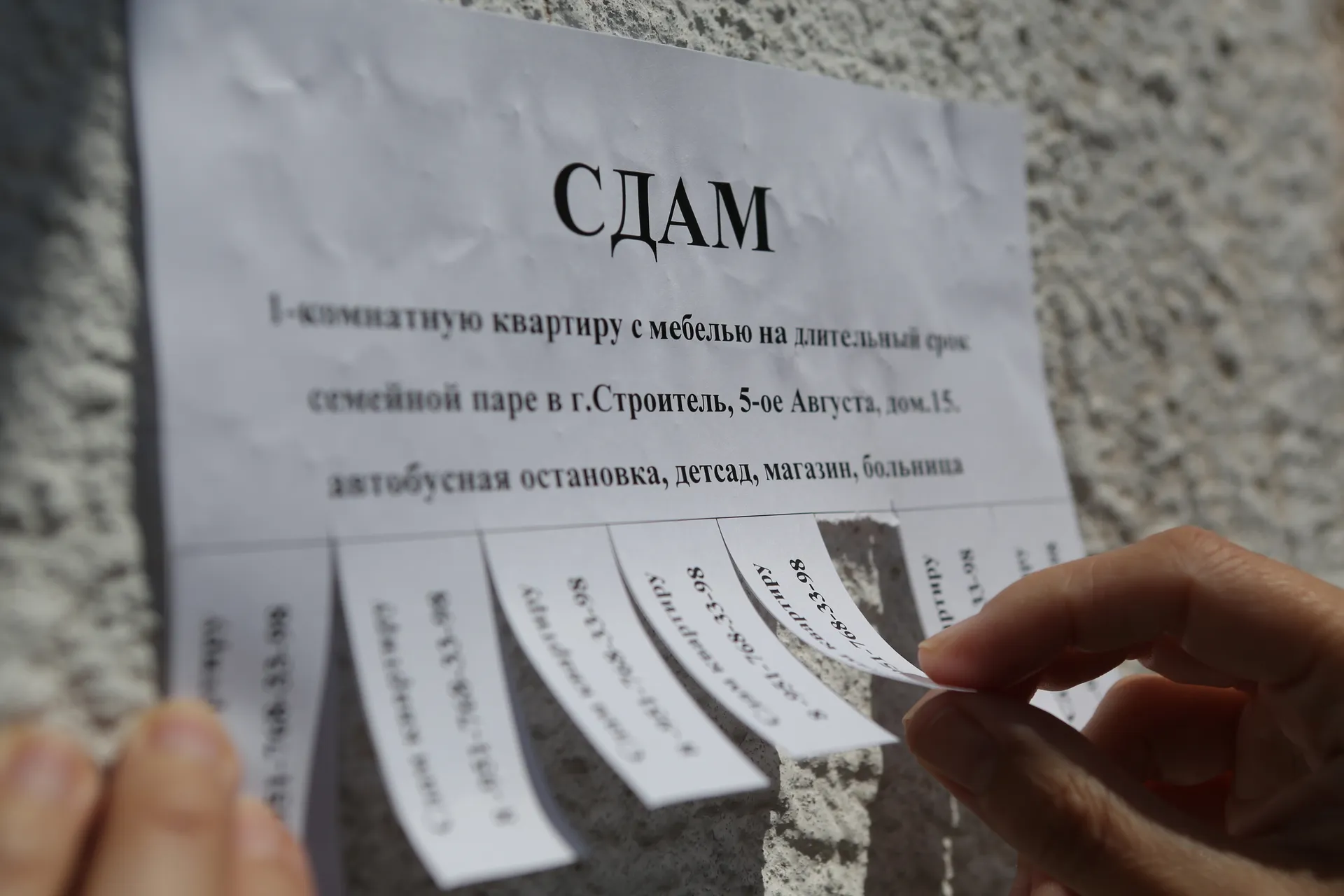 Изображение новости