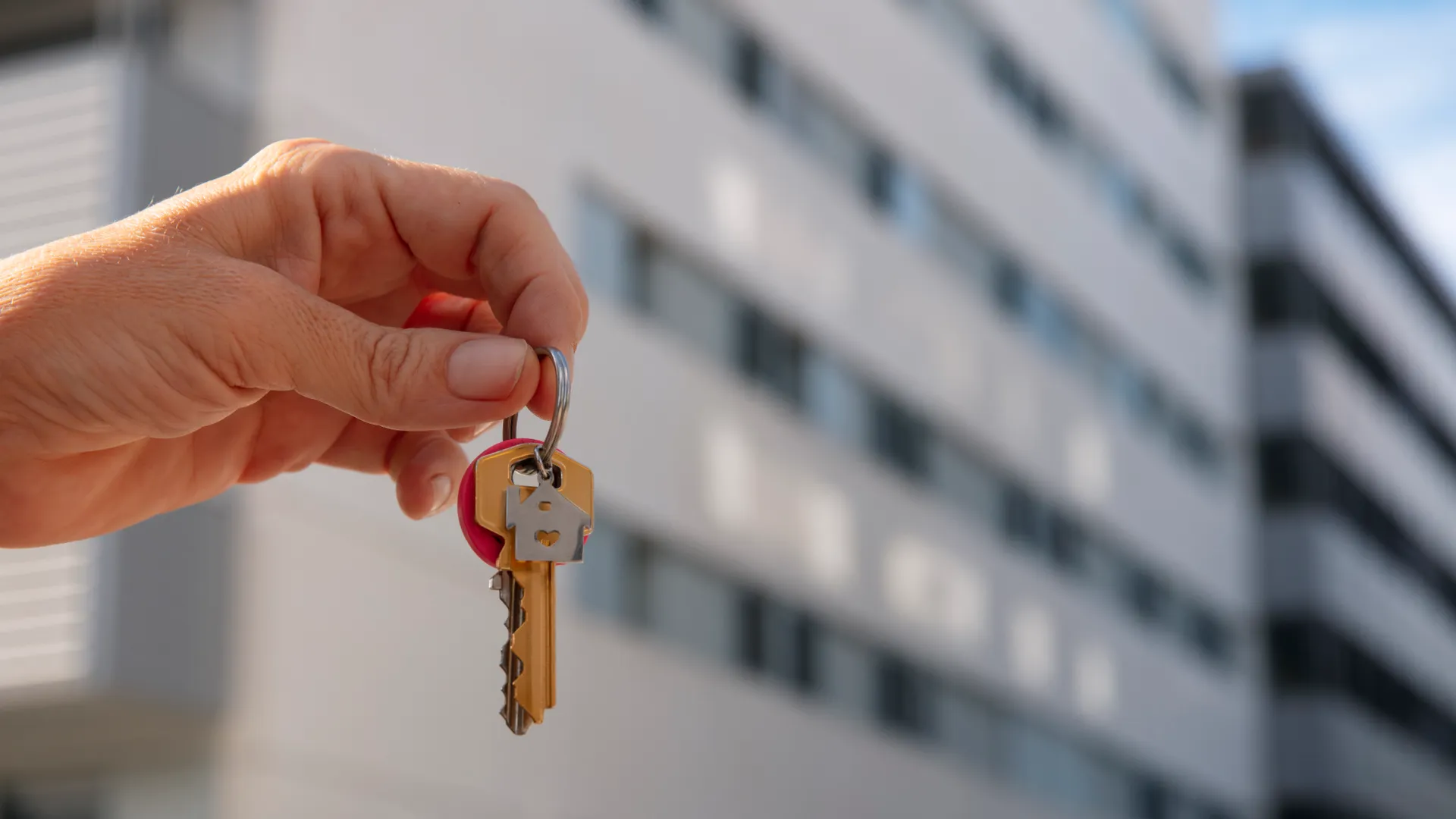 Изображение новости