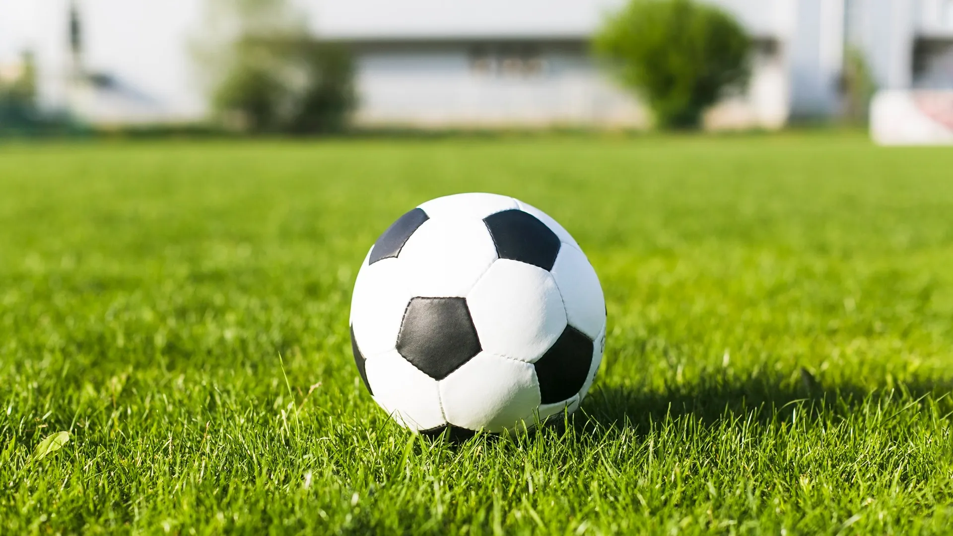 Изображение новости